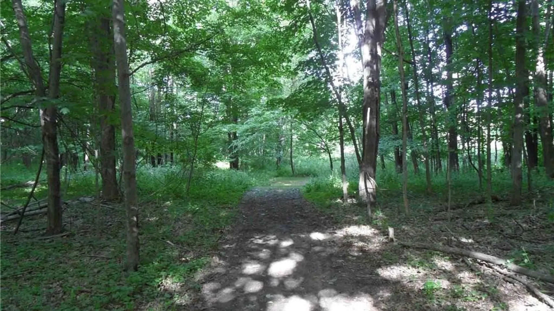 Property at 0 Henderson Street, Whitestown, NY 13492 5