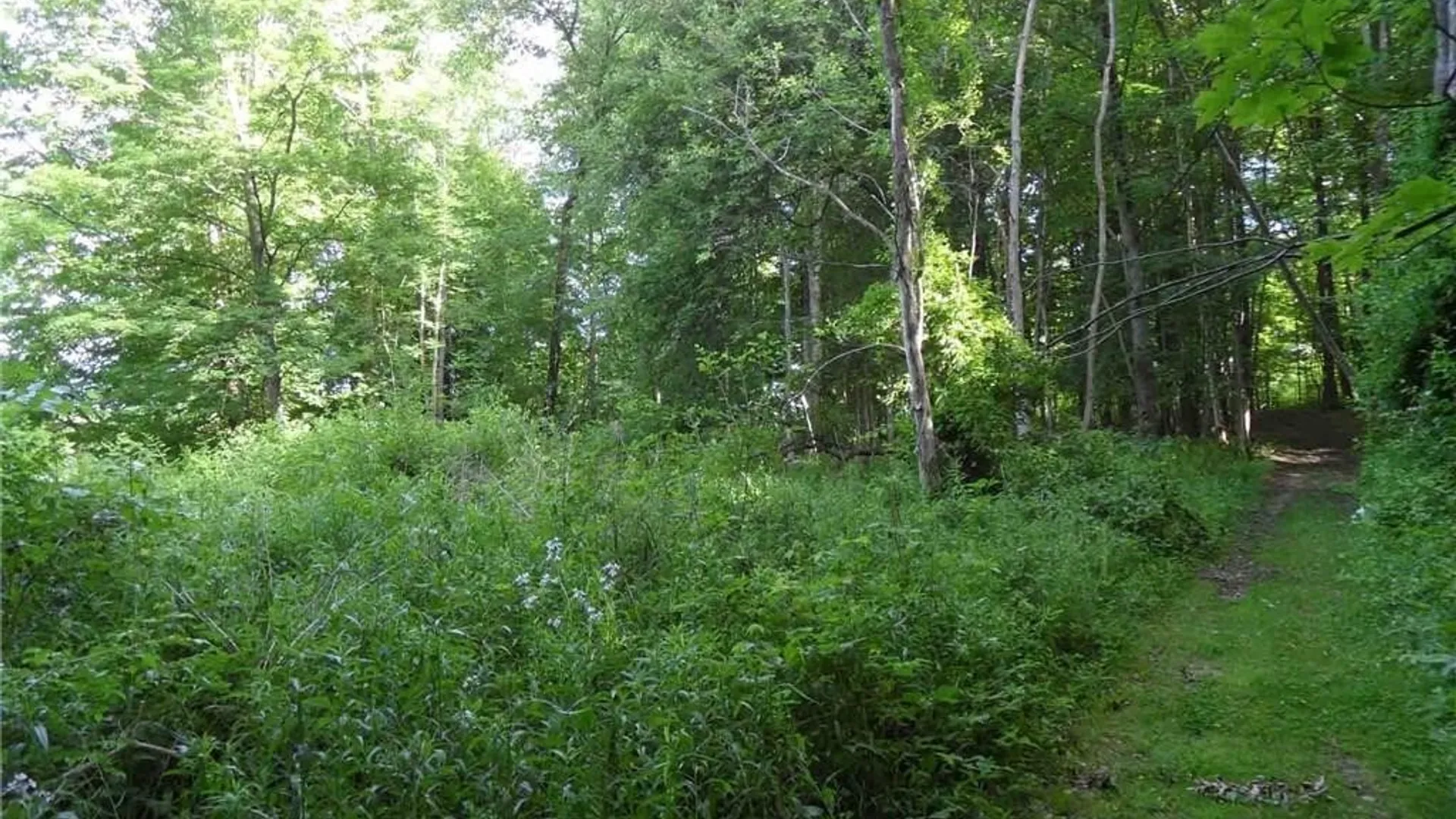 Property at 0 Henderson Street, Whitestown, NY 13492 7