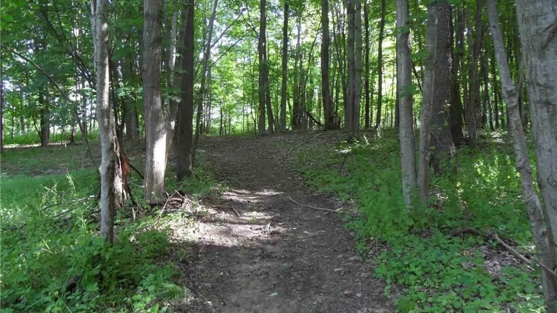 Property at 0 Henderson Street, Whitestown, NY 13492 8