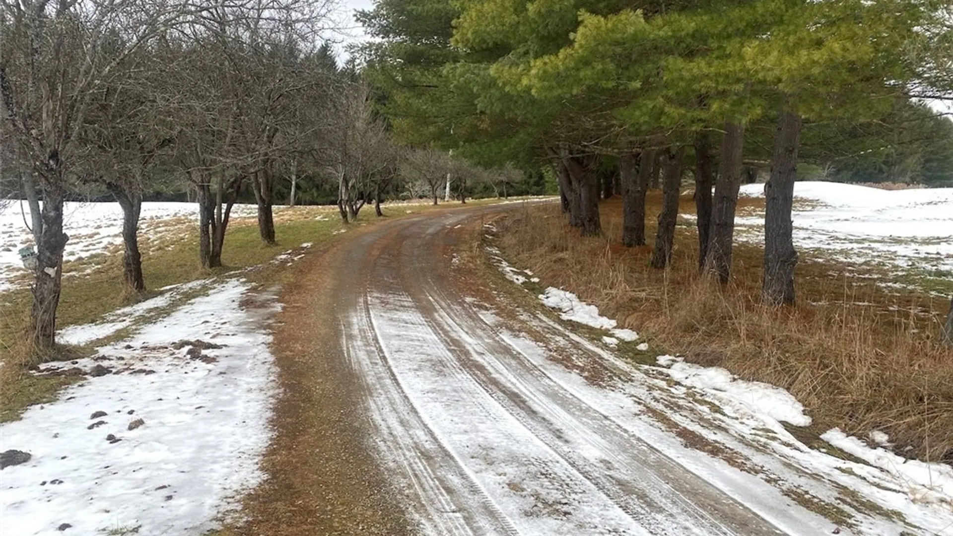 Property at 4607 Waugh Brook Road, Ward, NY 14880 36