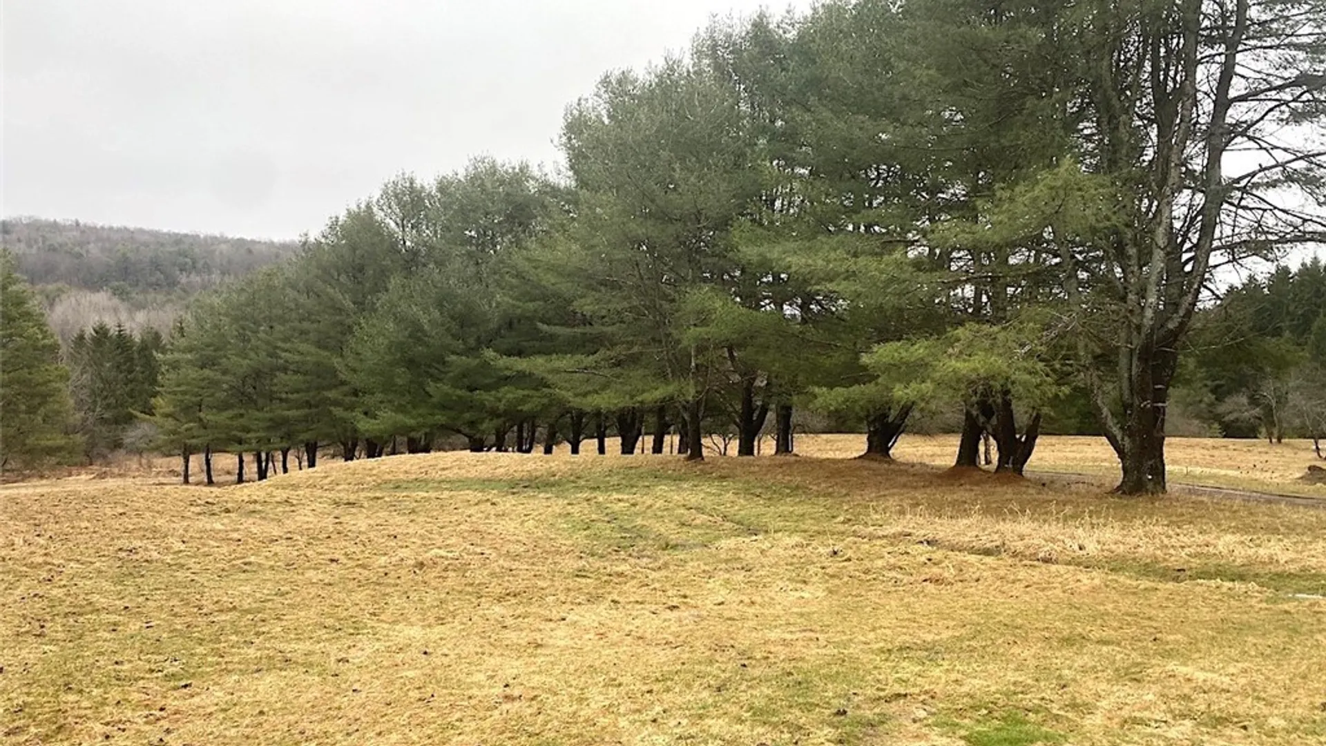 Property at 4607 Waugh Brook Road, Ward, NY 14880 37