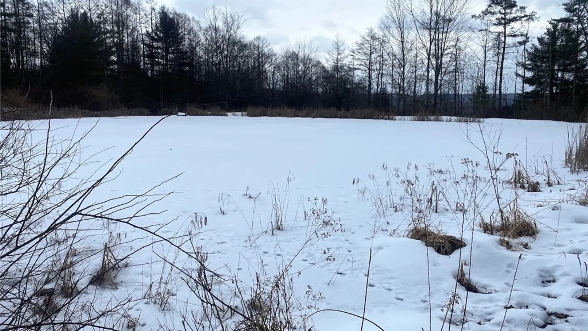 Property at 4607 Waugh Brook Road, Ward, NY 14880 38