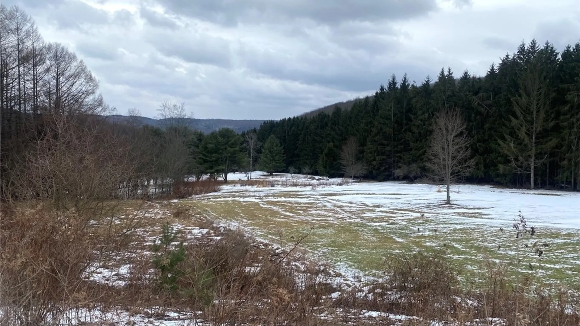 Property at 4607 Waugh Brook Road, Ward, NY 14880 39