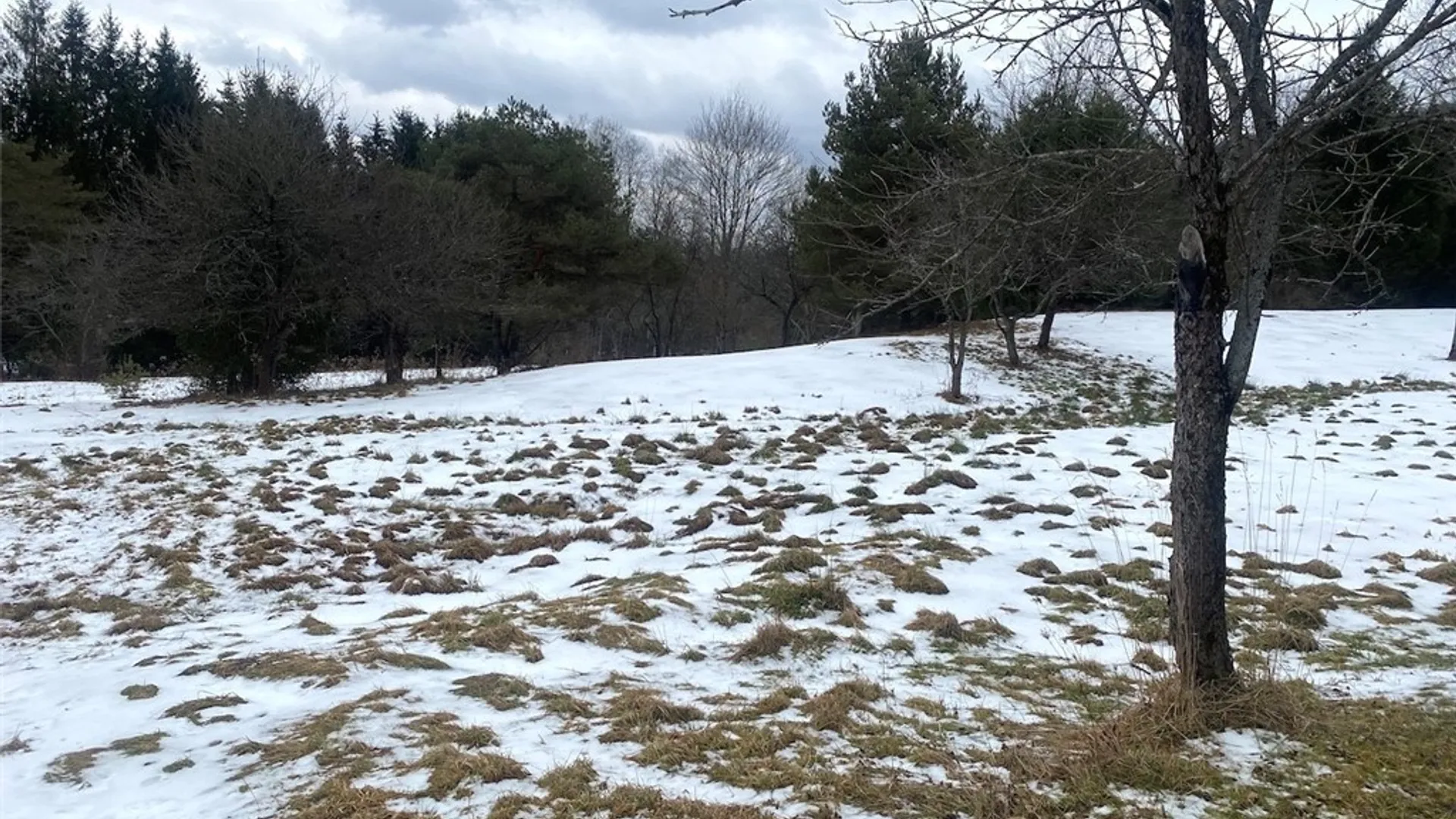 Property at 4607 Waugh Brook Road, Ward, NY 14880 40