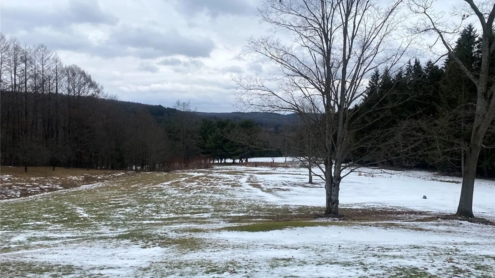 Property at 4607 Waugh Brook Road, Ward, NY 14880 41