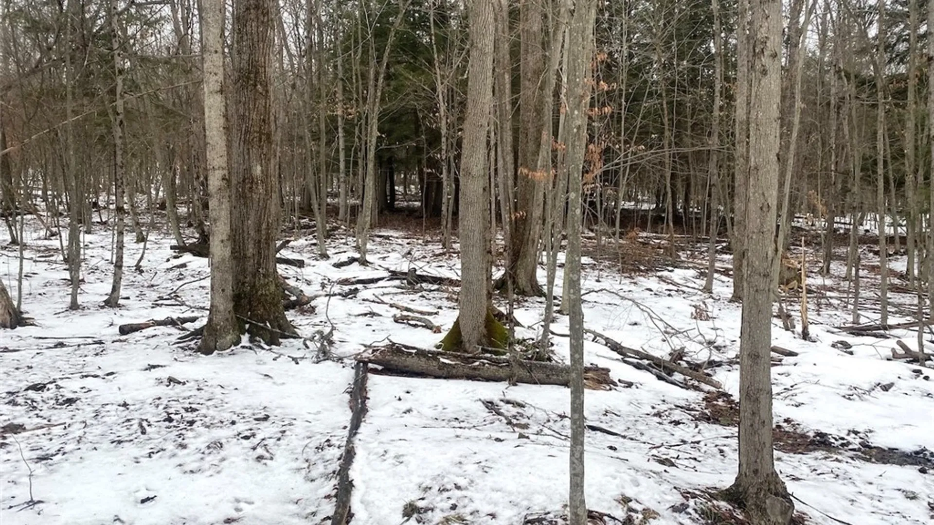 Property at 4607 Waugh Brook Road, Ward, NY 14880 42