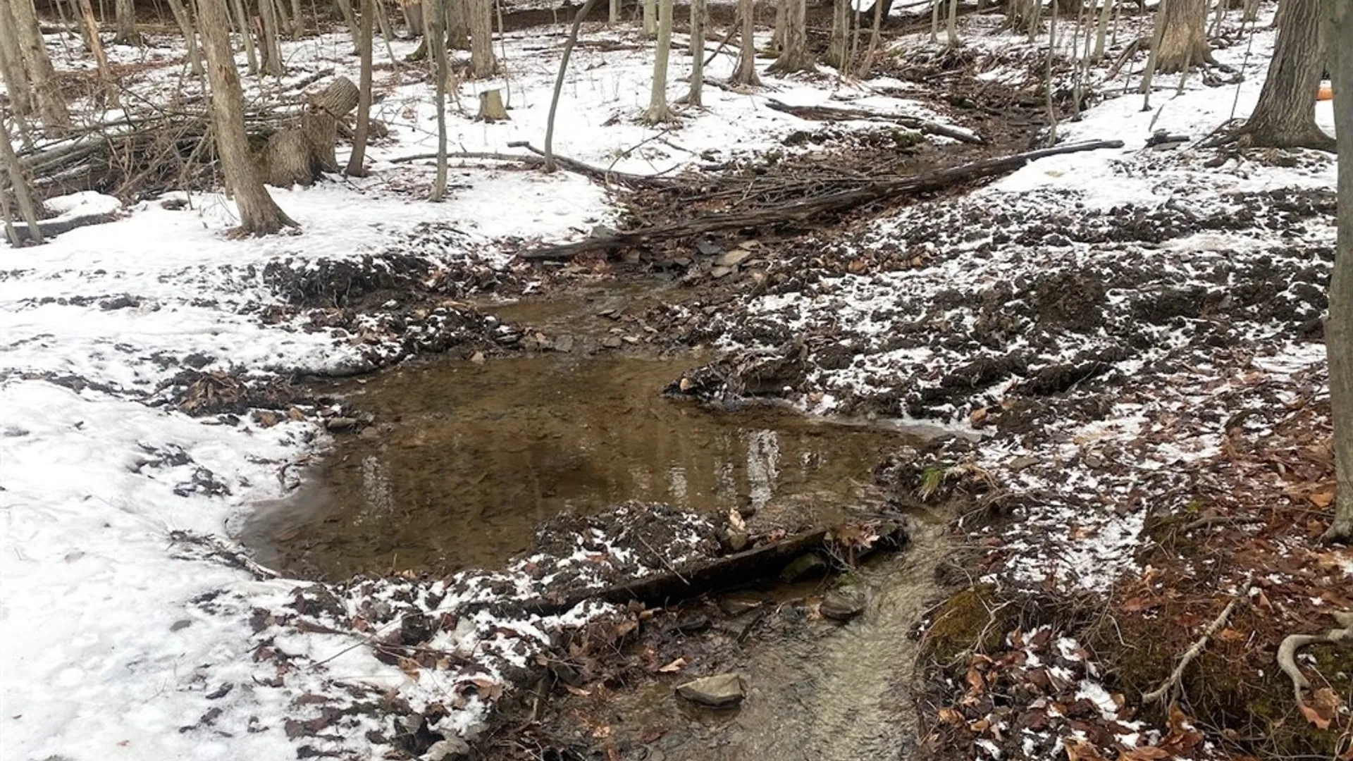 Property at 4607 Waugh Brook Road, Ward, NY 14880 43