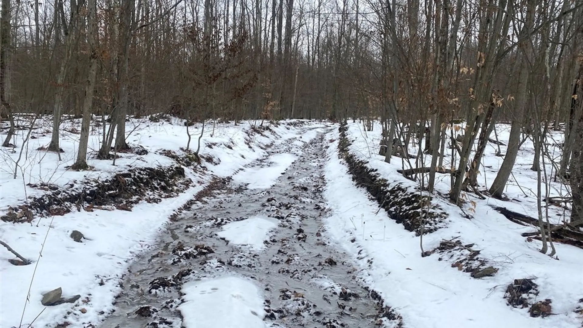 Property at 4607 Waugh Brook Road, Ward, NY 14880 44