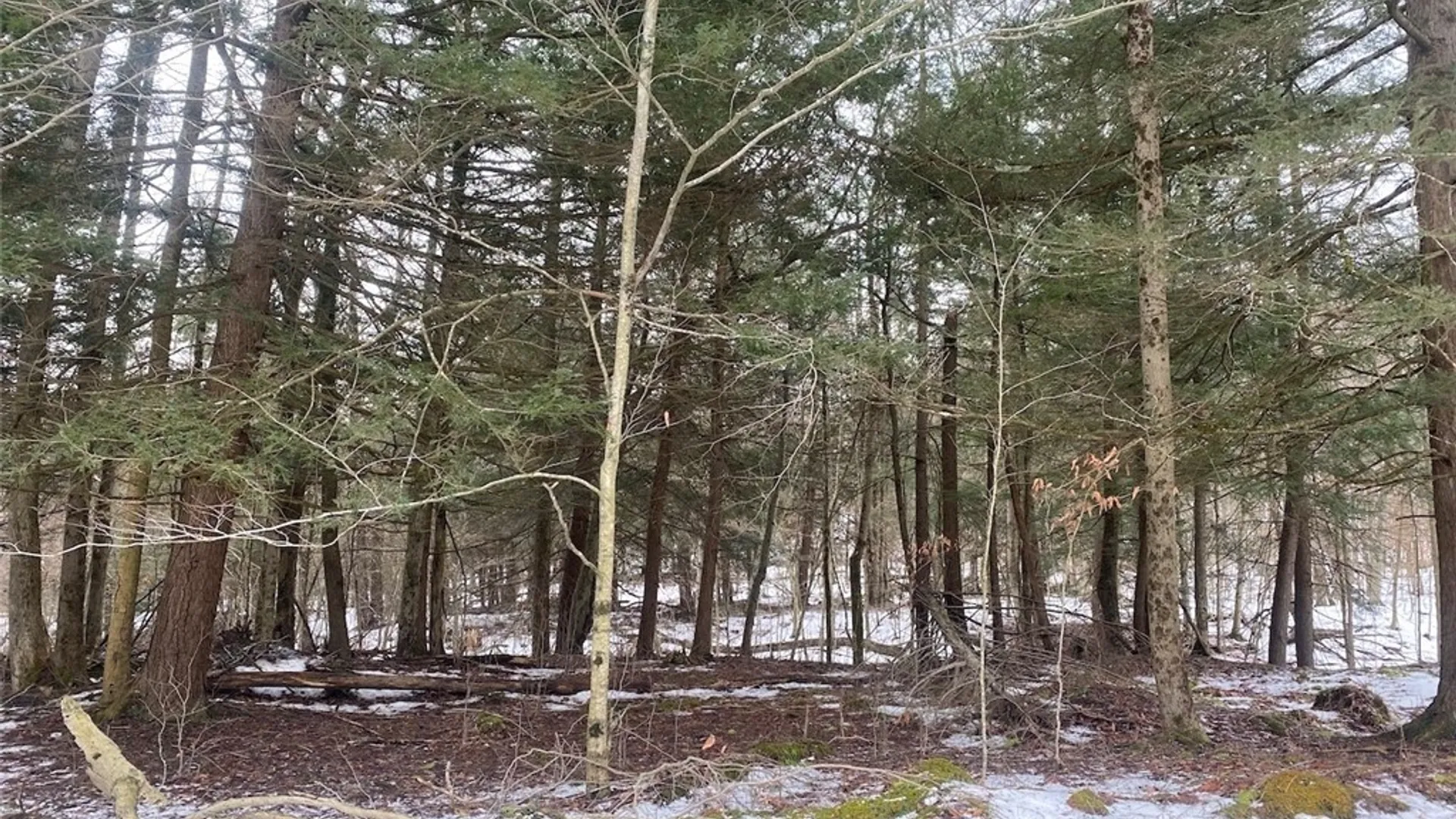 Property at 4607 Waugh Brook Road, Ward, NY 14880 48