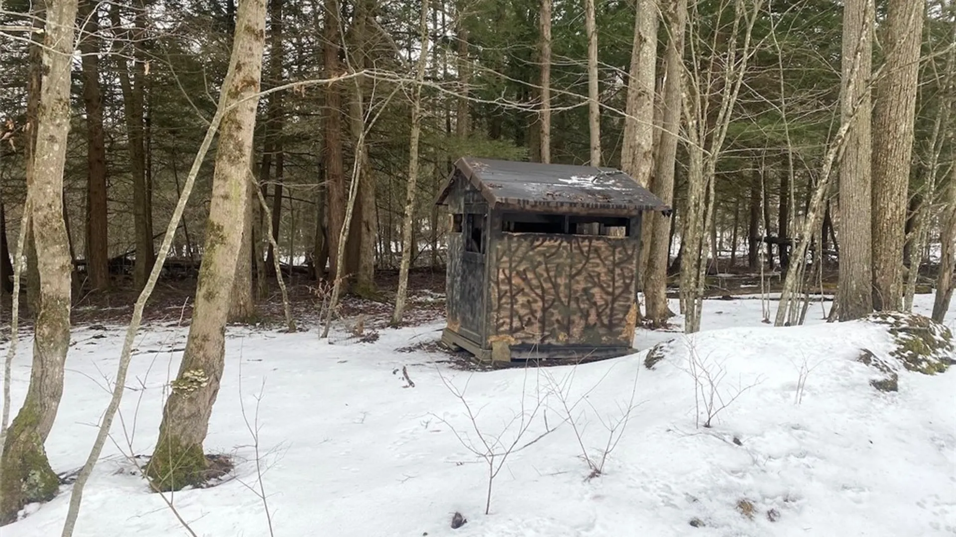 Property at 4607 Waugh Brook Road, Ward, NY 14880 49