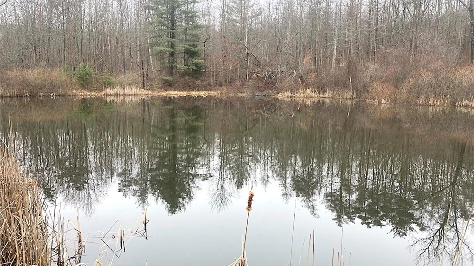 Property at 4607 Waugh Brook Road, Ward, NY 14880 7