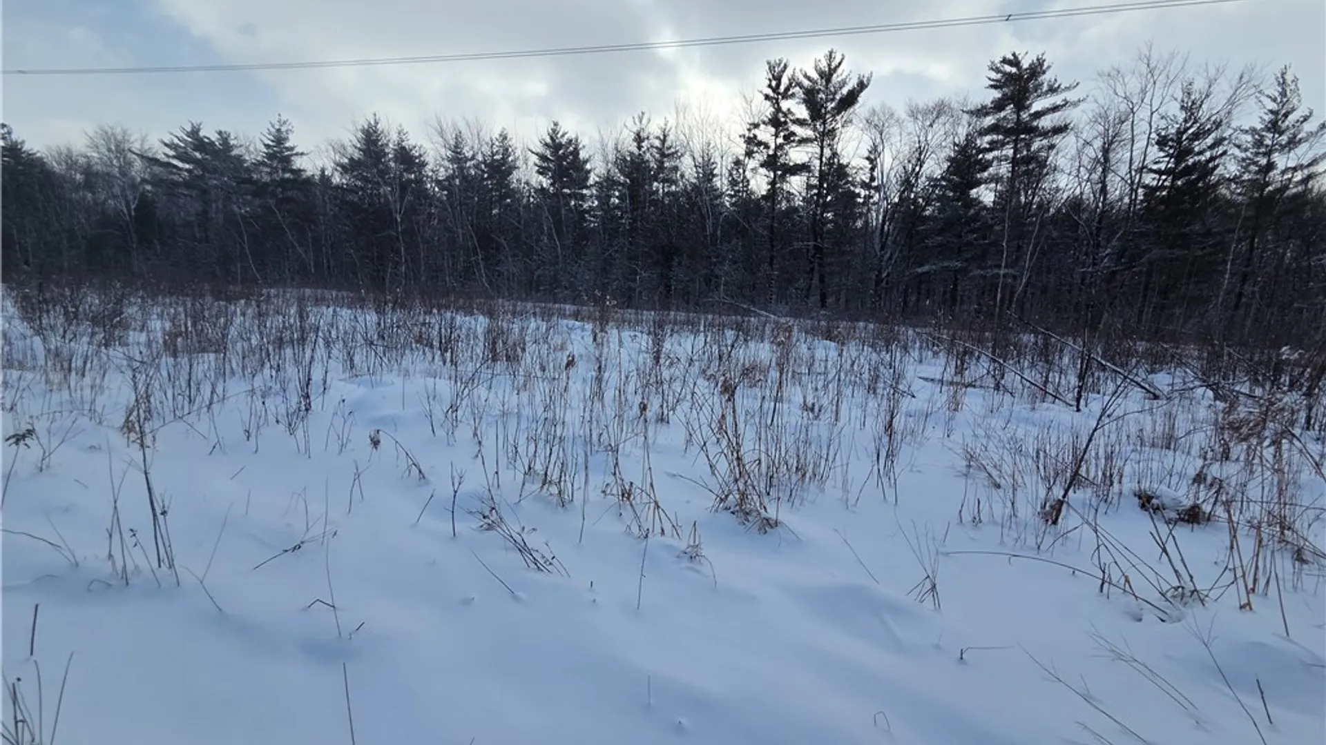 Property at 10720 Duck Lake Road, Conquest, NY 13143 10