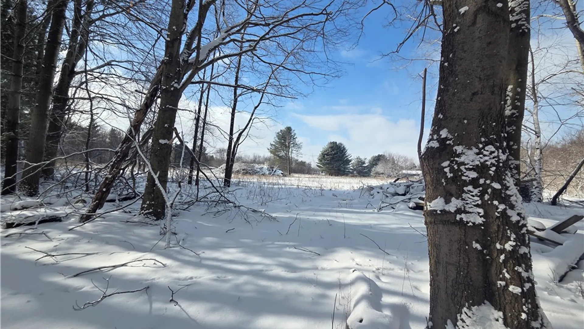 Property at 10720 Duck Lake Road, Conquest, NY 13143 15