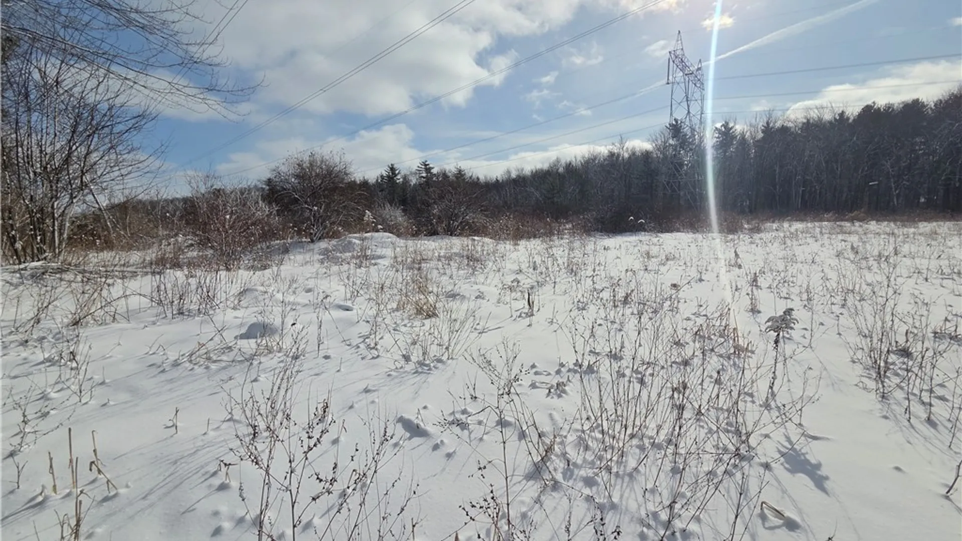 Property at 10720 Duck Lake Road, Conquest, NY 13143 18