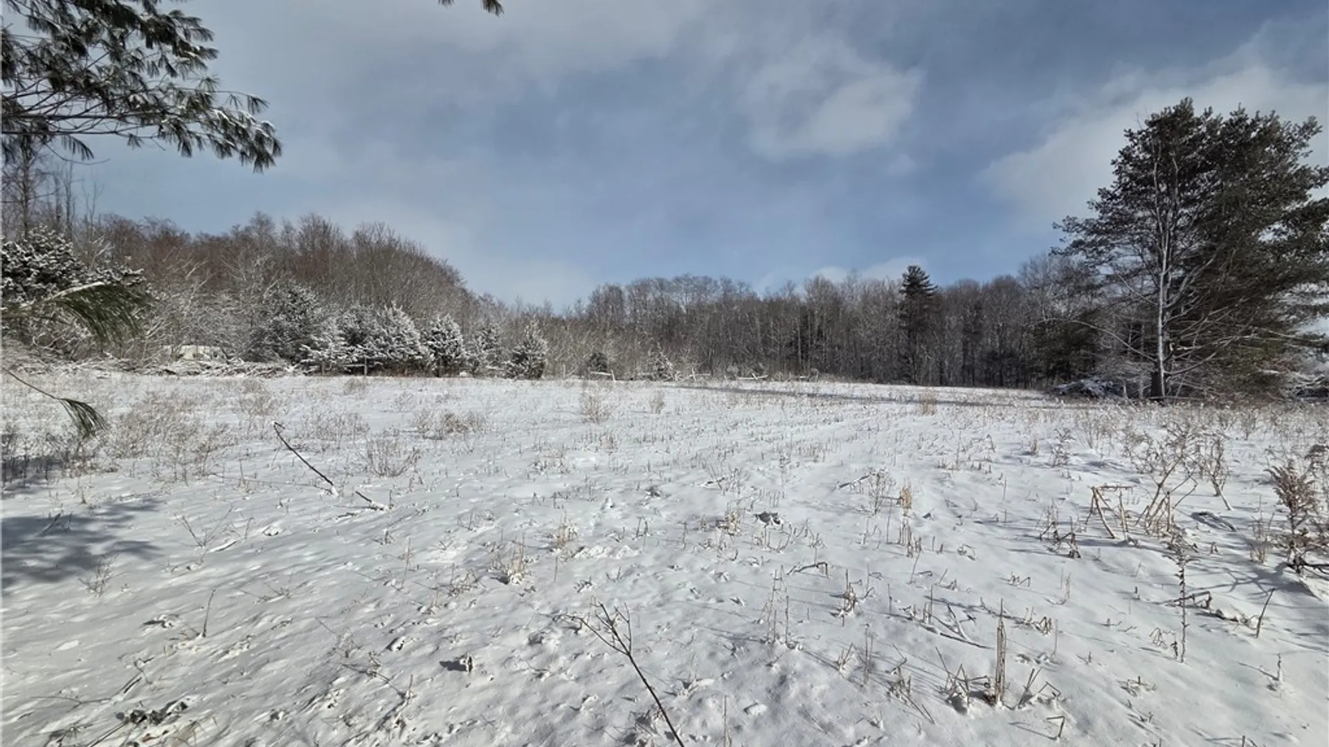 Property at 10720 Duck Lake Road, Conquest, NY 13143 6