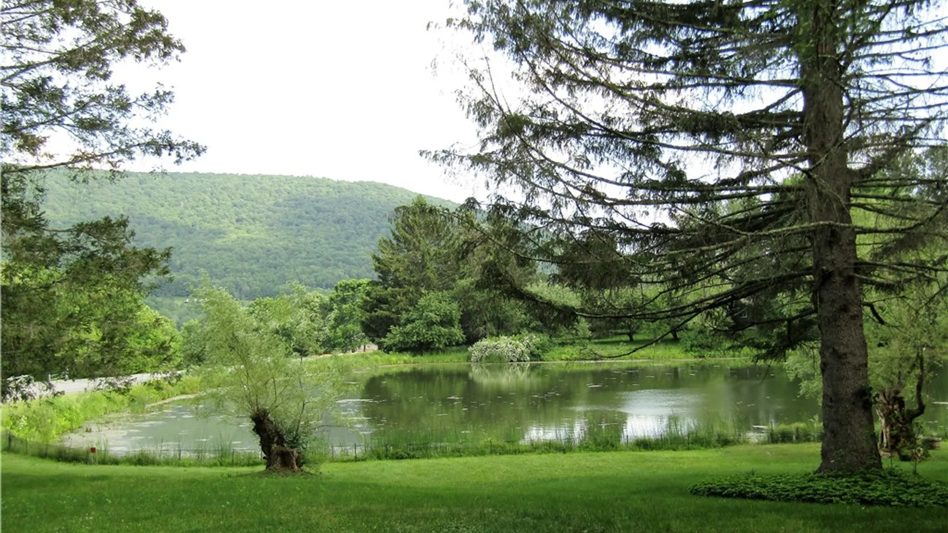 Property at 1888 County Highway 8, Roxbury, NY 12421 6