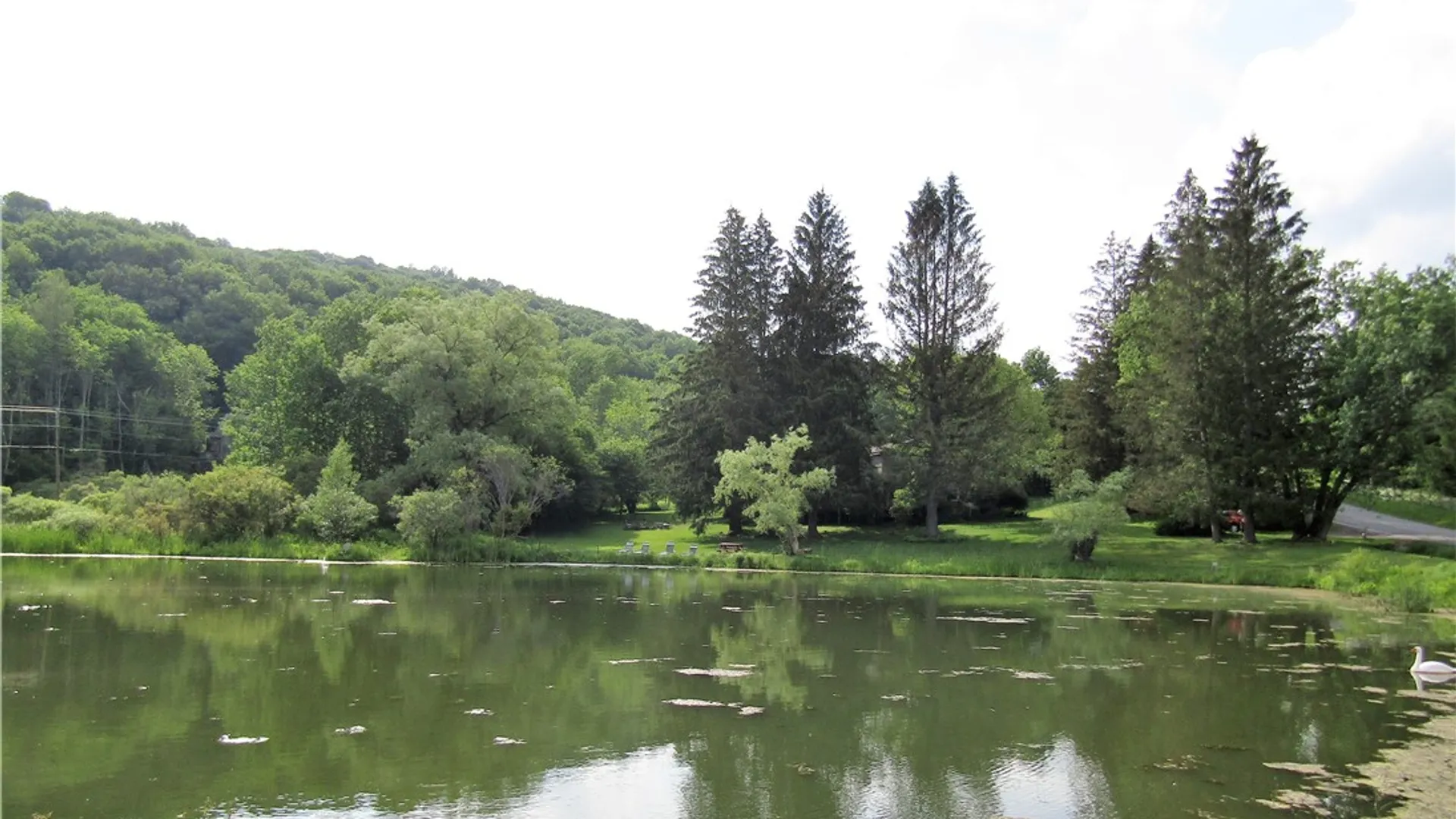 Property at 1888 County Highway 8, Roxbury, NY 12421 7