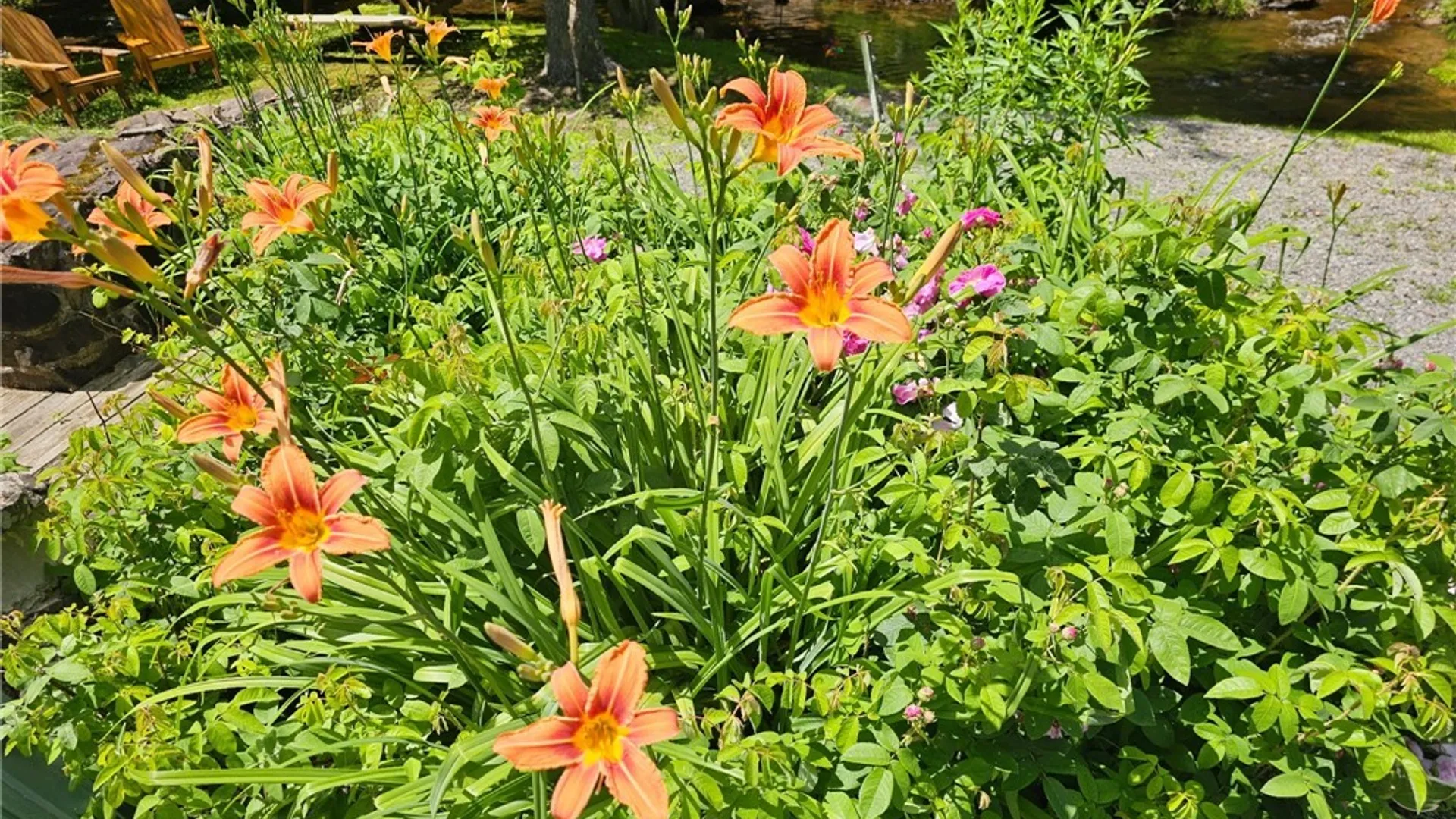 Property at 1061 Osceola Road, Osceola, NY 13437 7