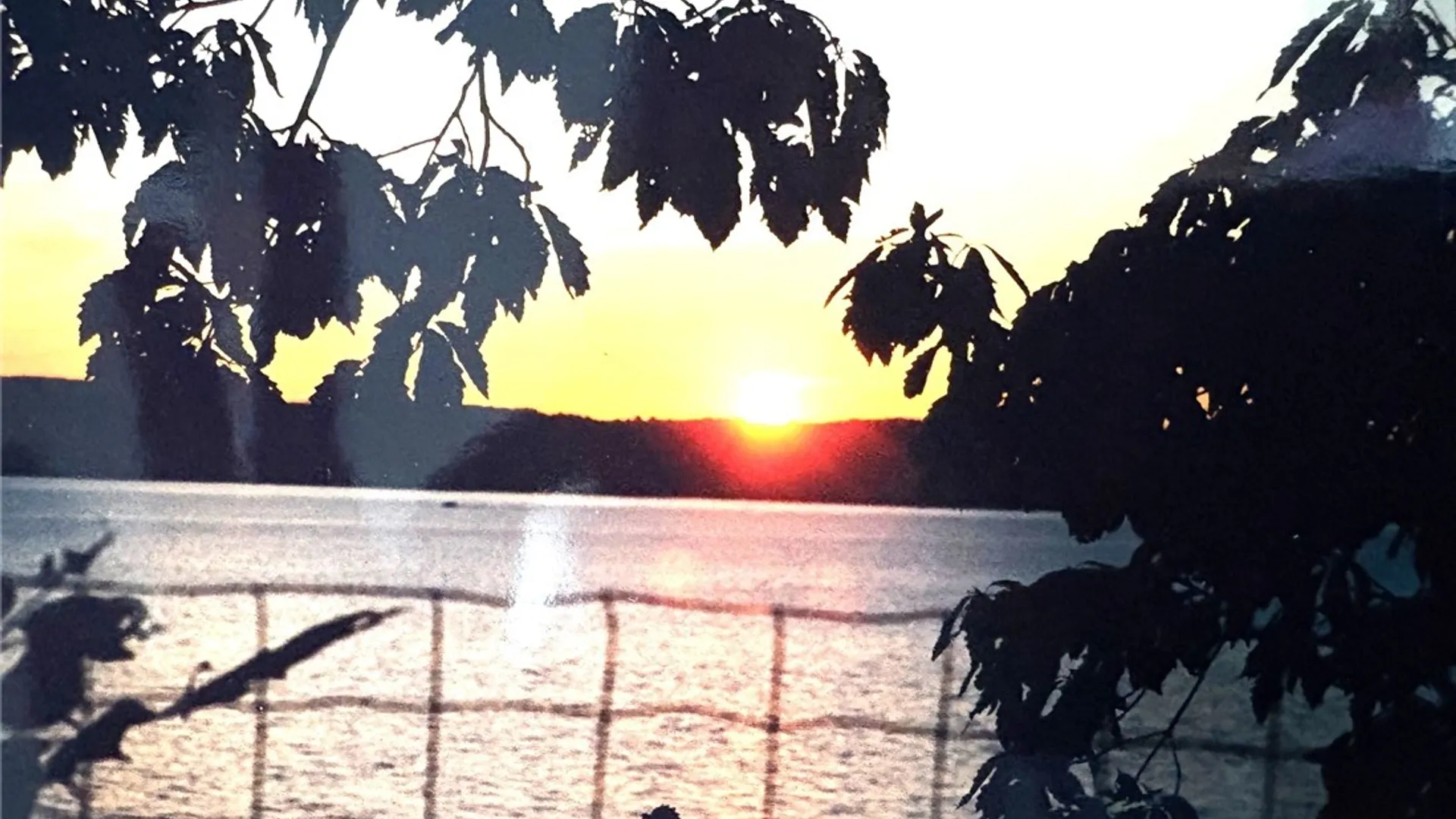 Property at 1429 & 1451 Andrea Drive, Lodi, NY 14860 10