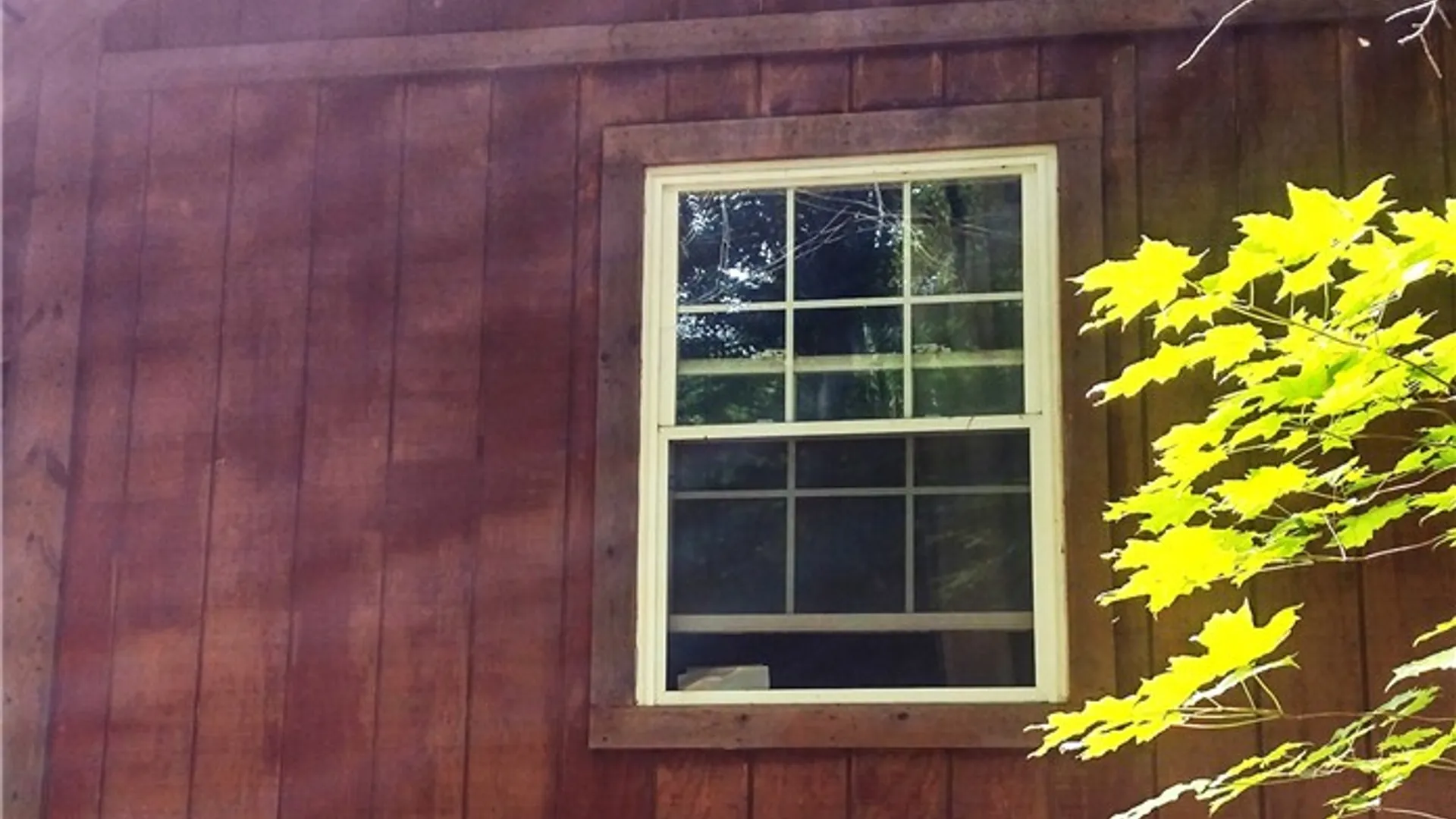 Property at 1429 & 1451 Andrea Drive, Lodi, NY 14860 9