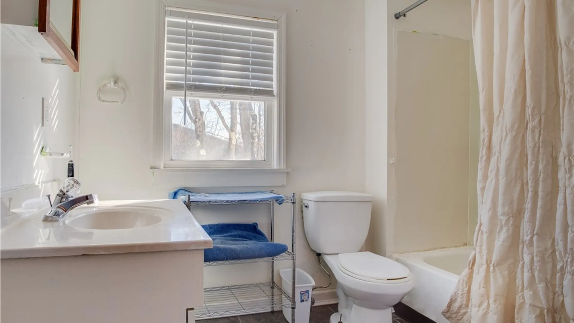 Property at 147 East Street, Walton, NY 13856 22