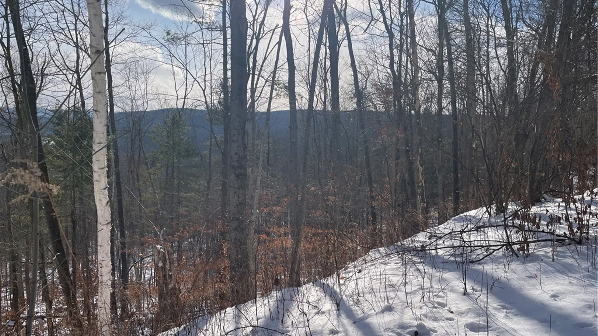 Property at 15 Silver Mine Road, Blenheim, NY 12131 10