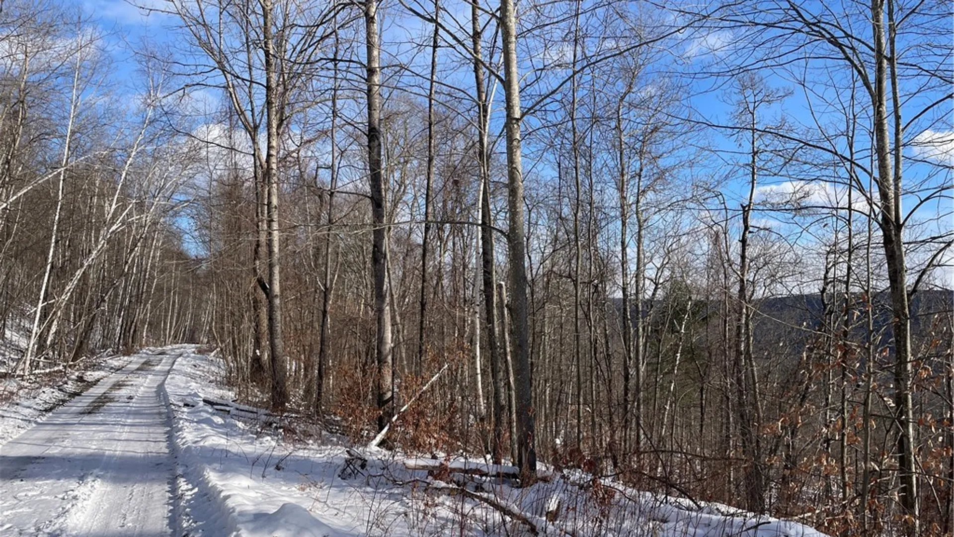 Property at 15 Silver Mine Road, Blenheim, NY 12131 11