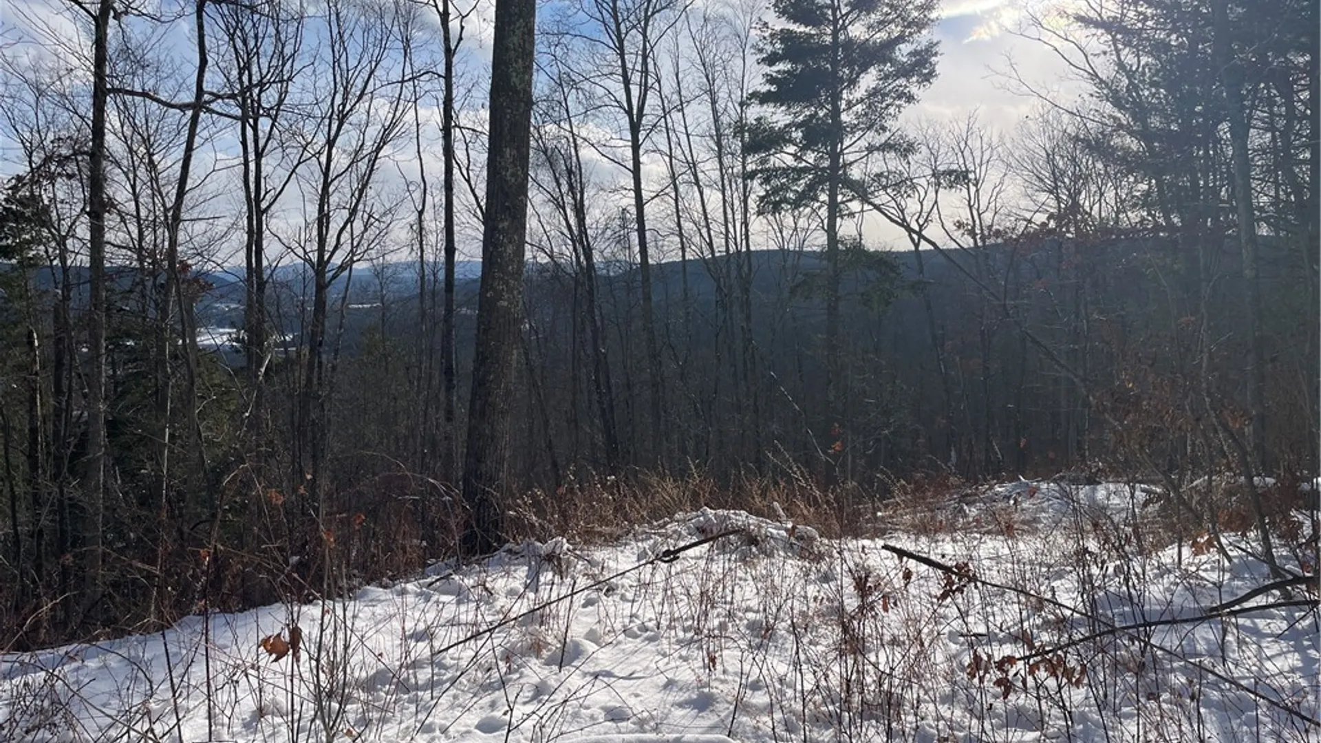 Property at 15 Silver Mine Road, Blenheim, NY 12131 12