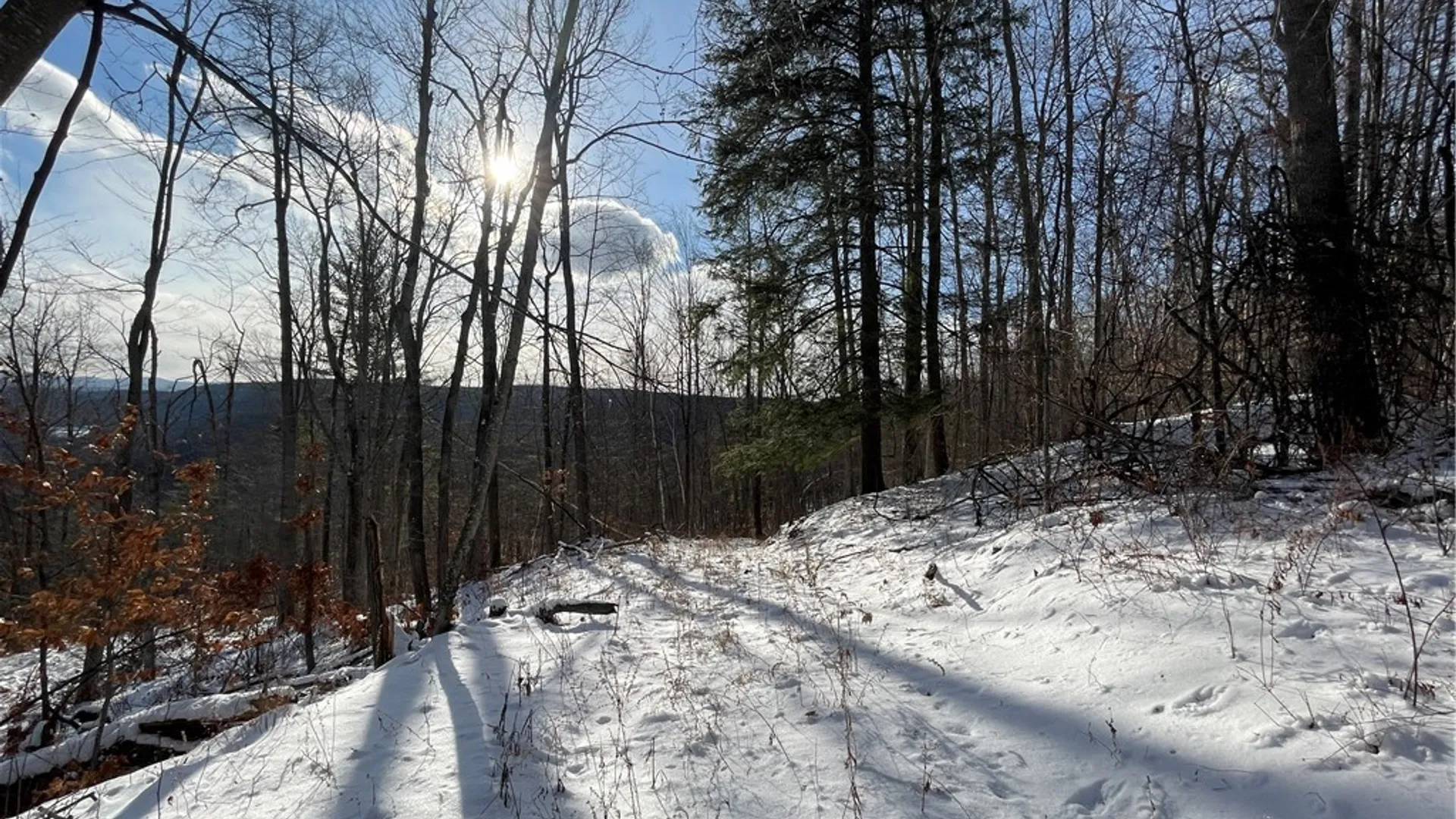 Property at 15 Silver Mine Road, Blenheim, NY 12131 2