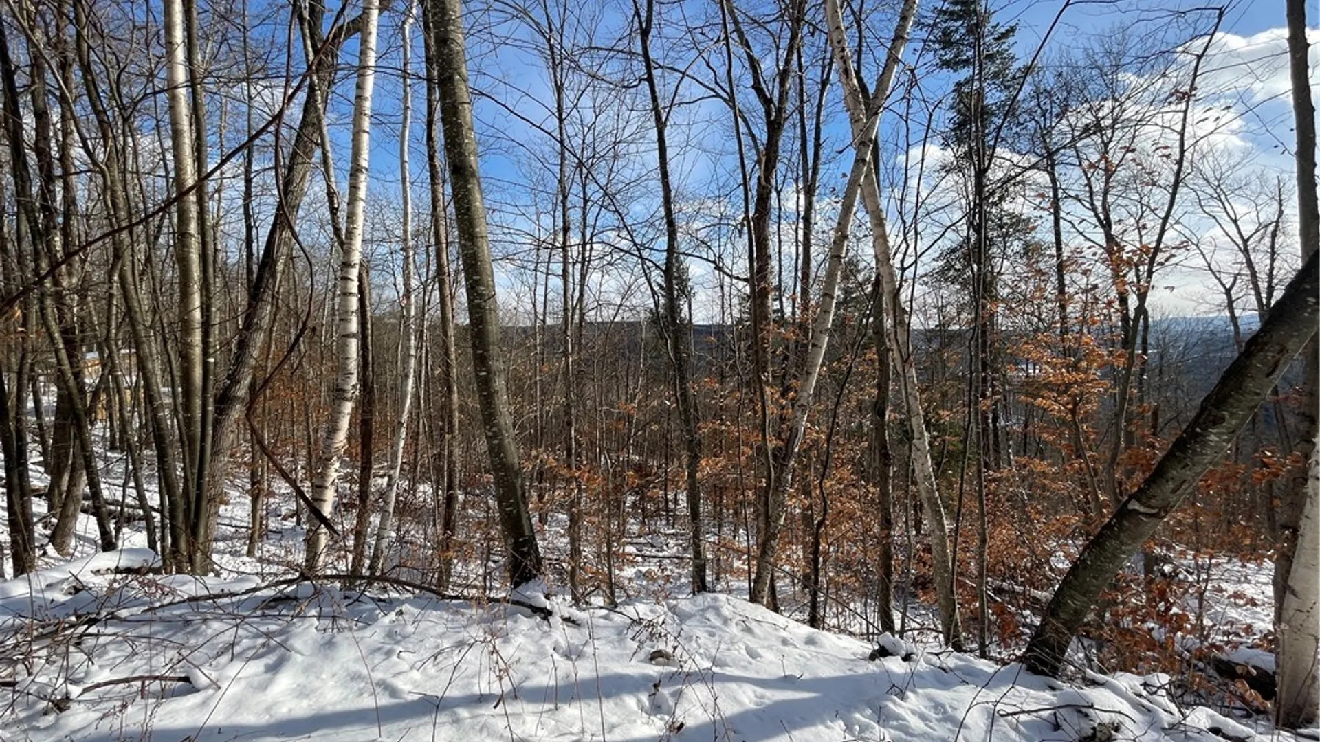 Property at 15 Silver Mine Road, Blenheim, NY 12131 4