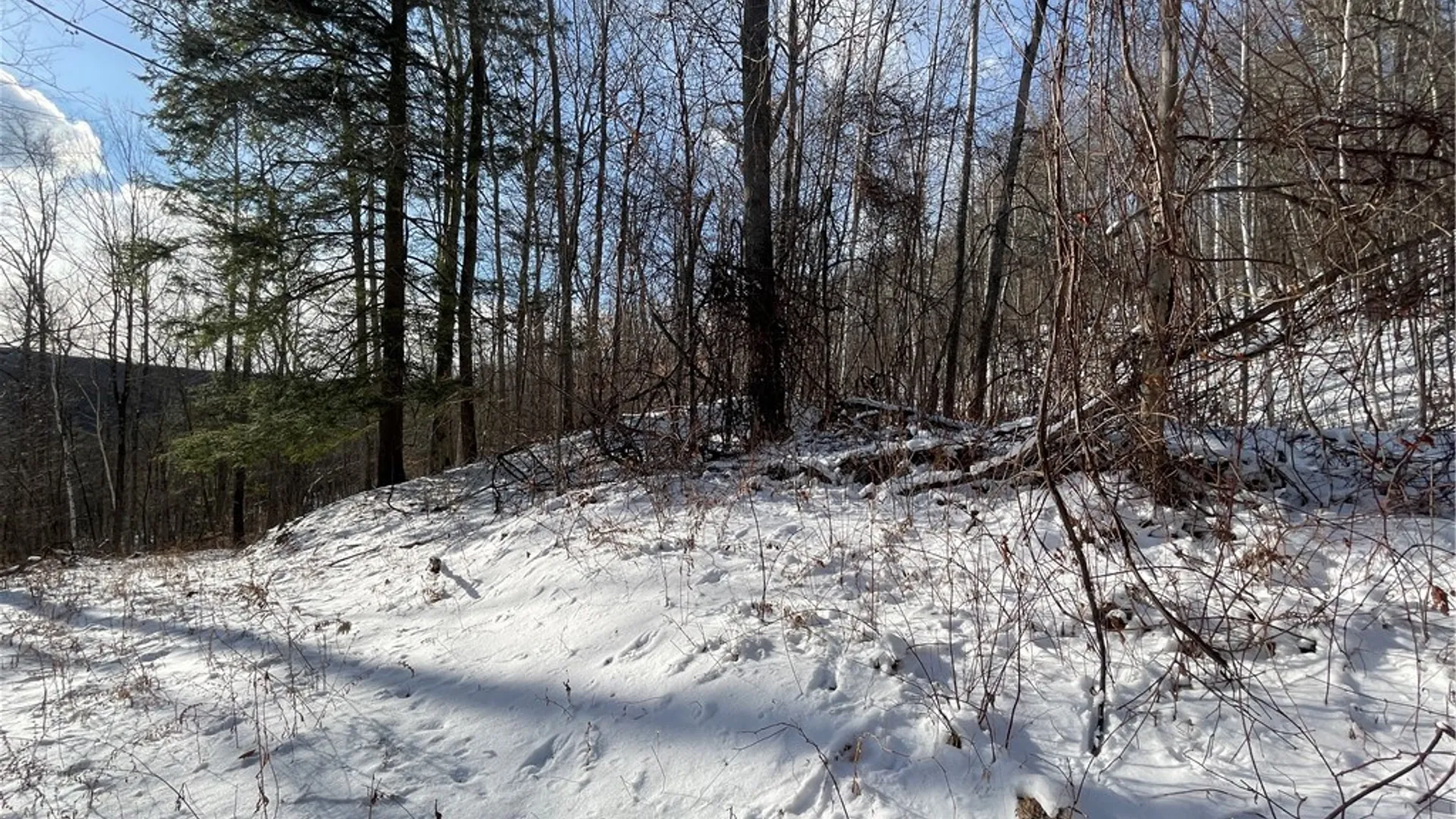 Property at 15 Silver Mine Road, Blenheim, NY 12131 5