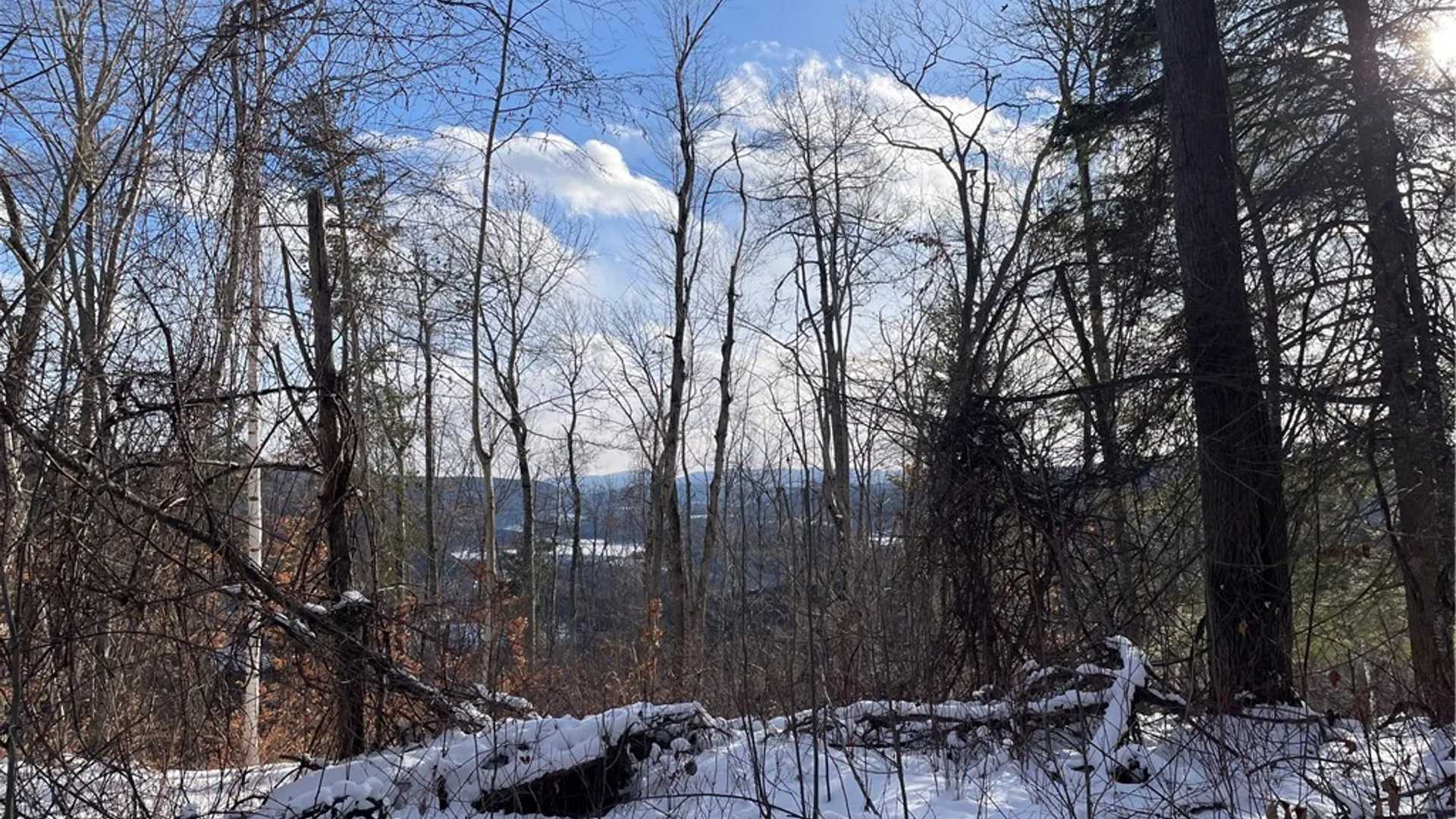 Property at 15 Silver Mine Road, Blenheim, NY 12131 6