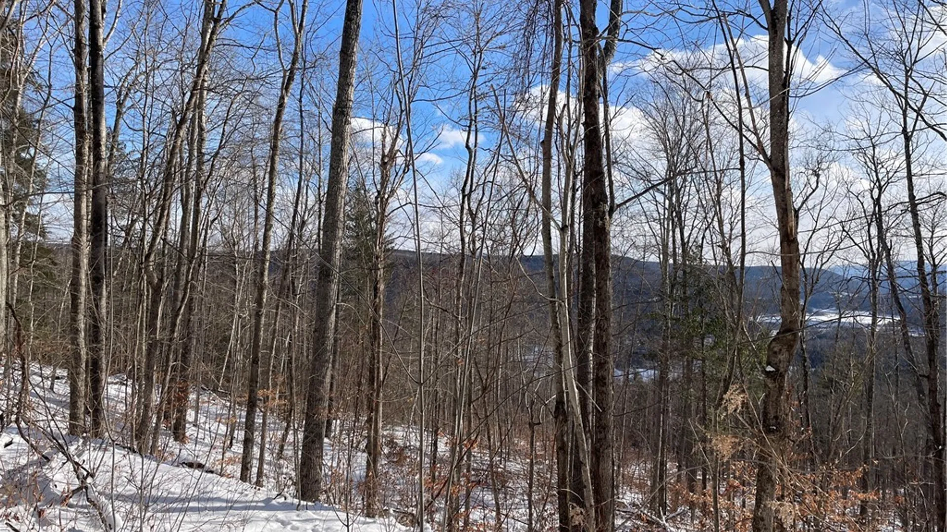 Property at 15 Silver Mine Road, Blenheim, NY 12131 8