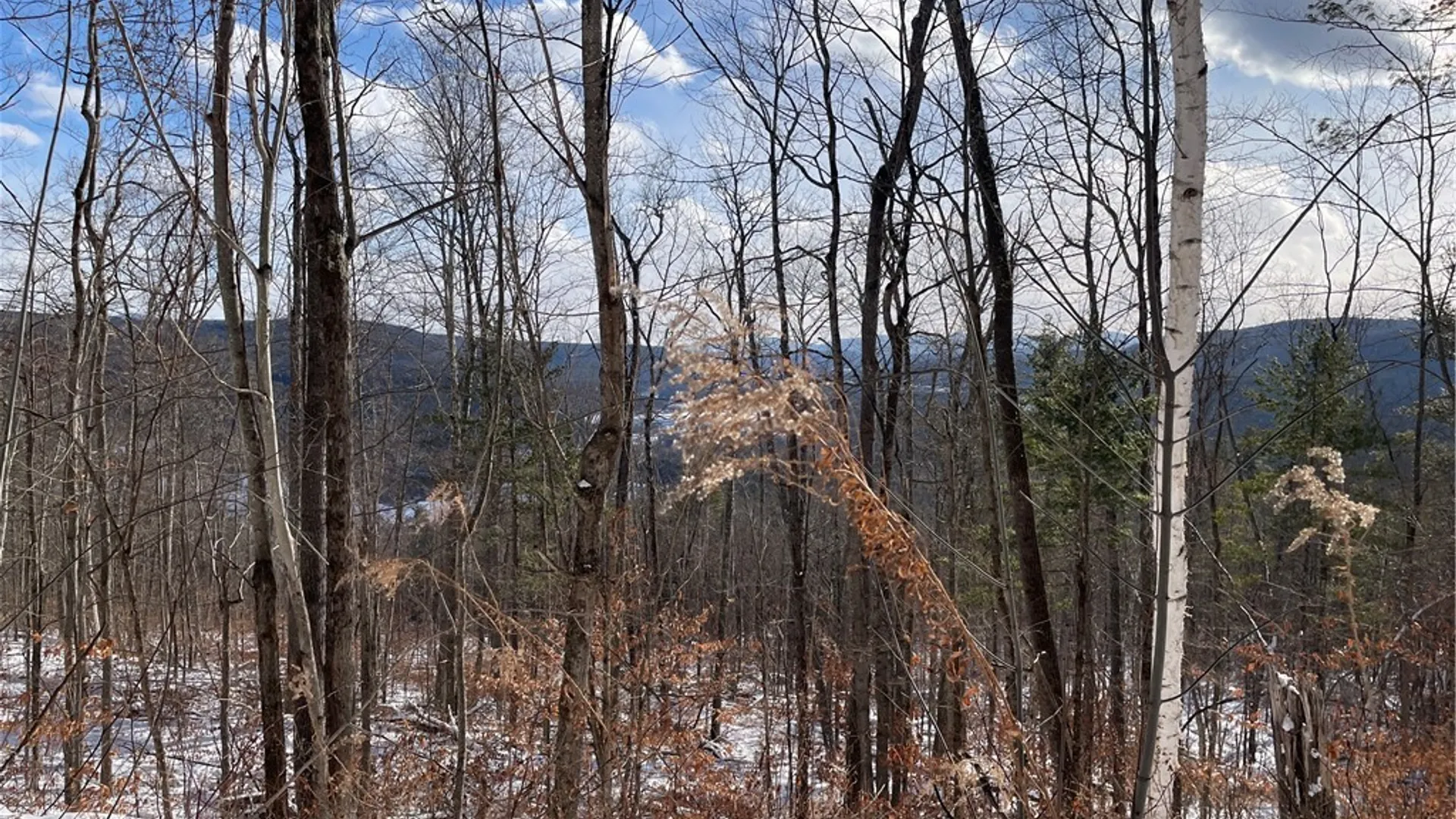 Property at 15 Silver Mine Road, Blenheim, NY 12131 9