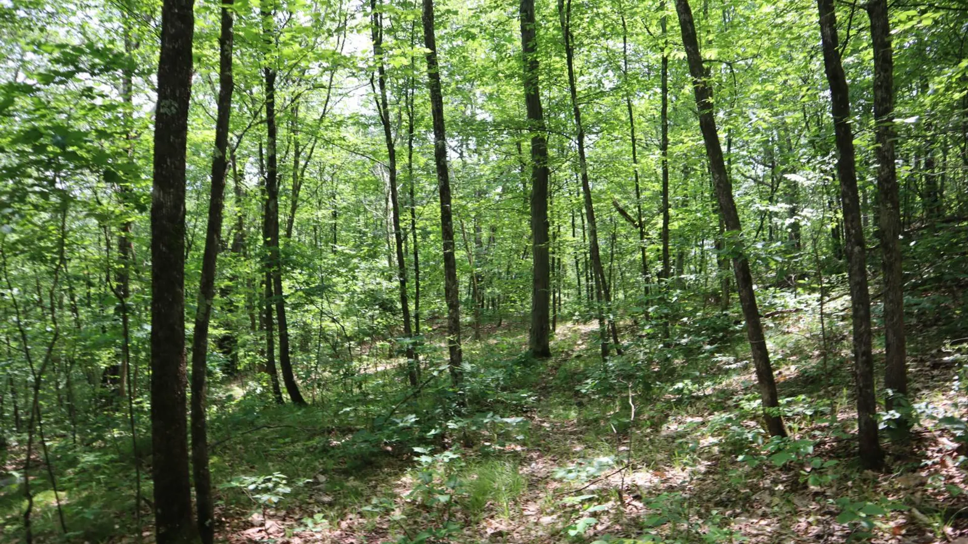 Property at 211 Bromley Ln, Granville, NY 12832 25