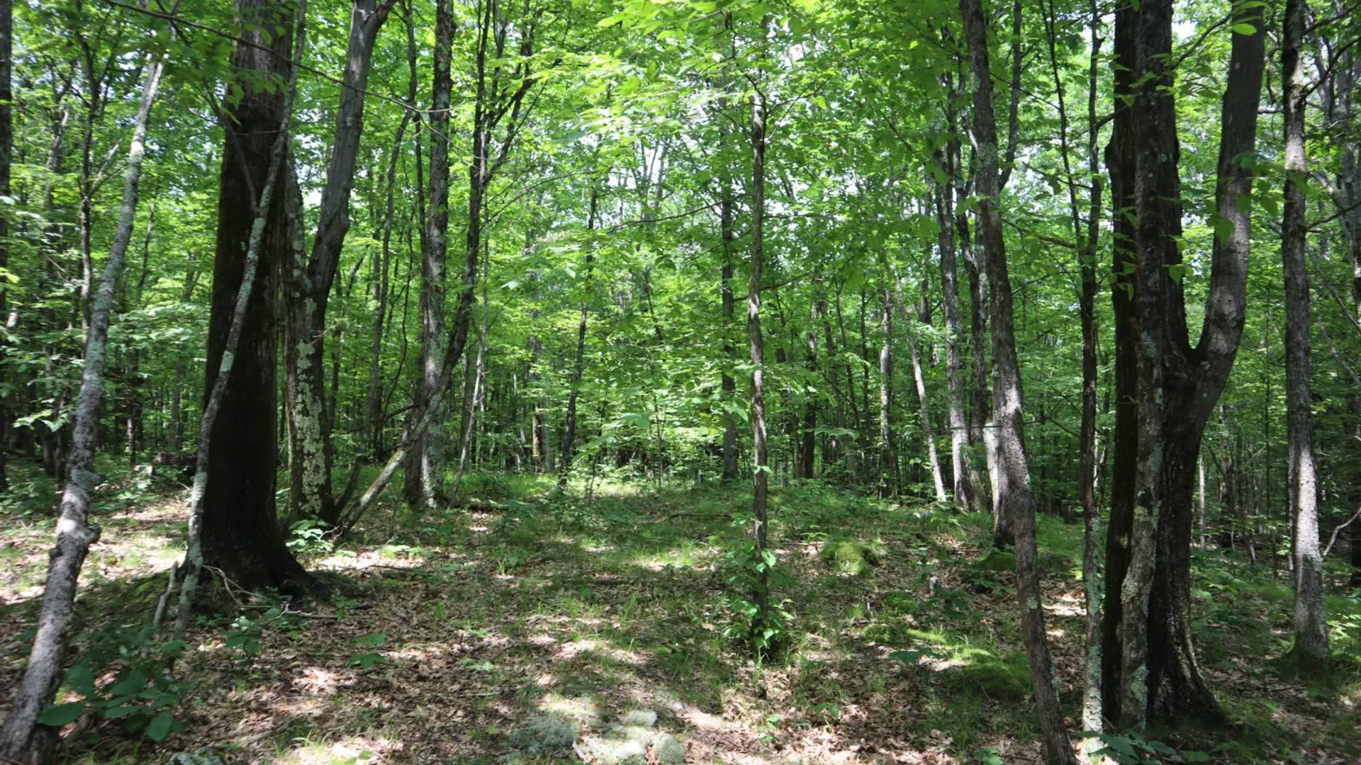 Property at 211 Bromley Ln, Granville, NY 12832 27