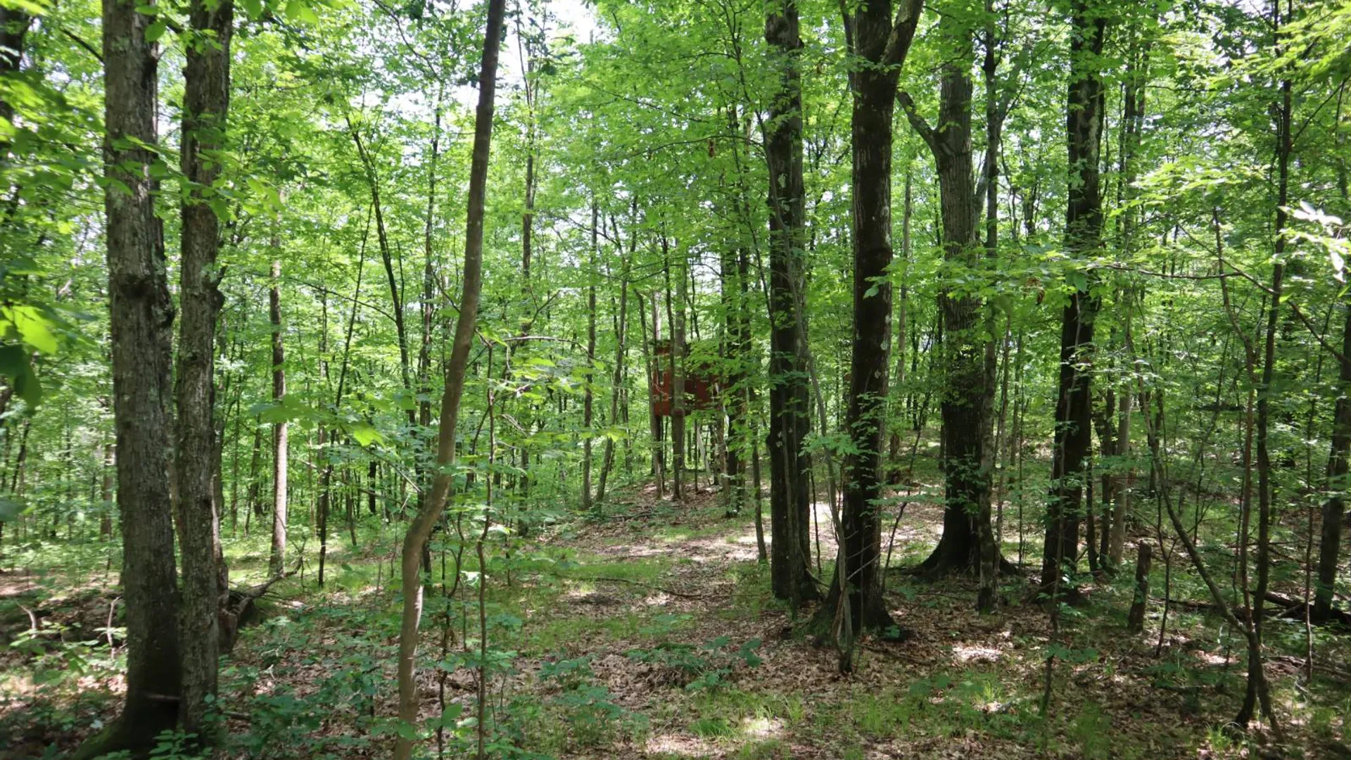 Property at 211 Bromley Ln, Granville, NY 12832 30