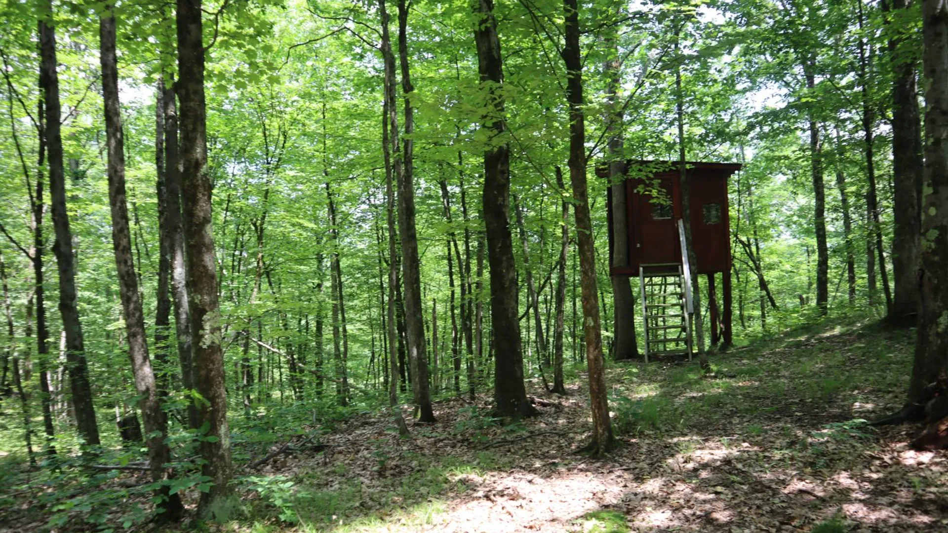 Property at 211 Bromley Ln, Granville, NY 12832 33