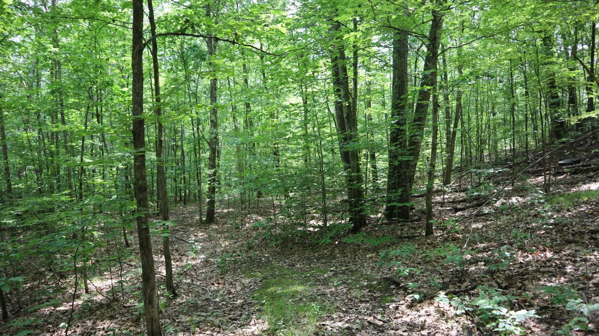 Property at 211 Bromley Ln, Granville, NY 12832 35