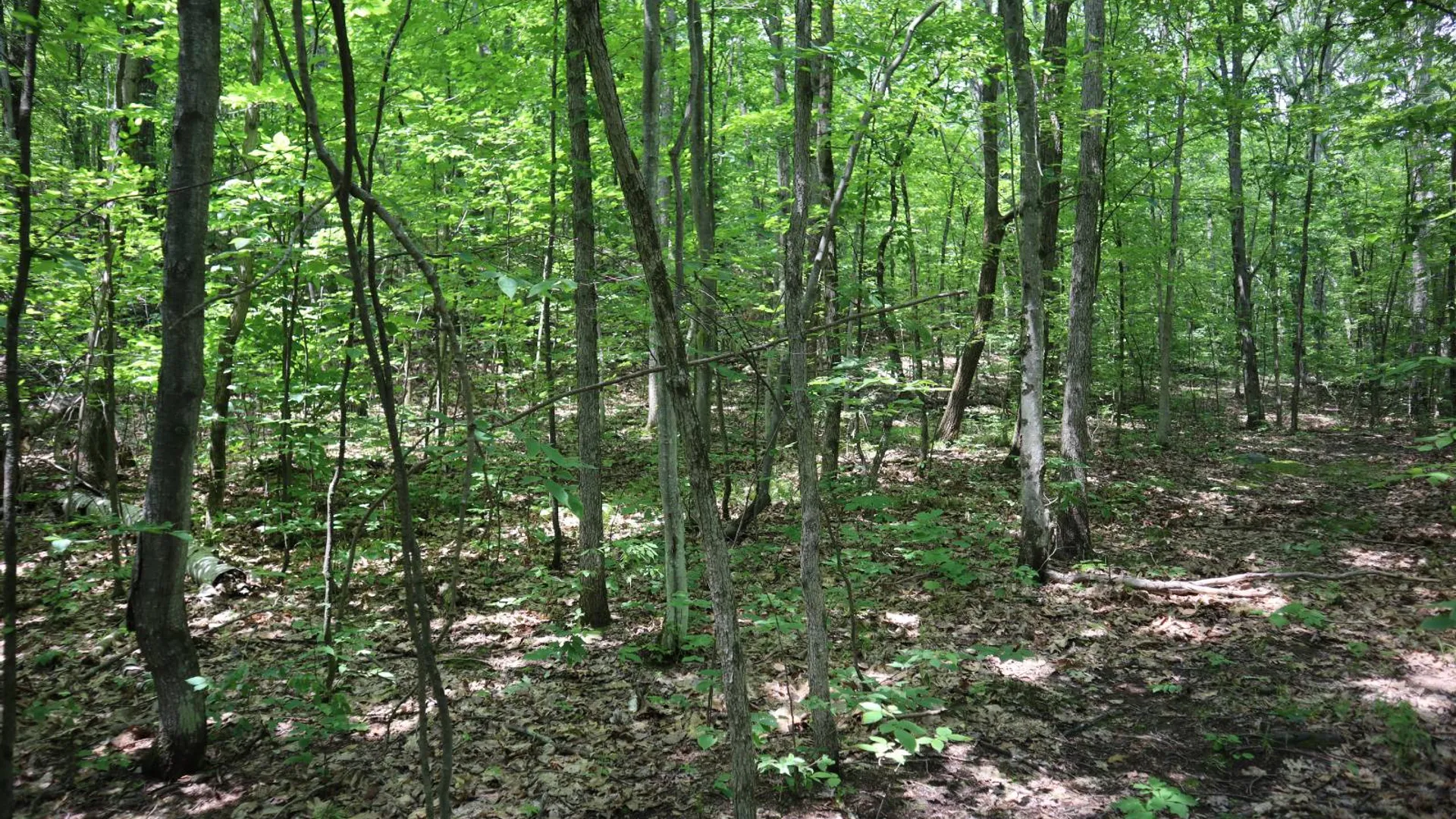 Property at 211 Bromley Ln, Granville, NY 12832 36