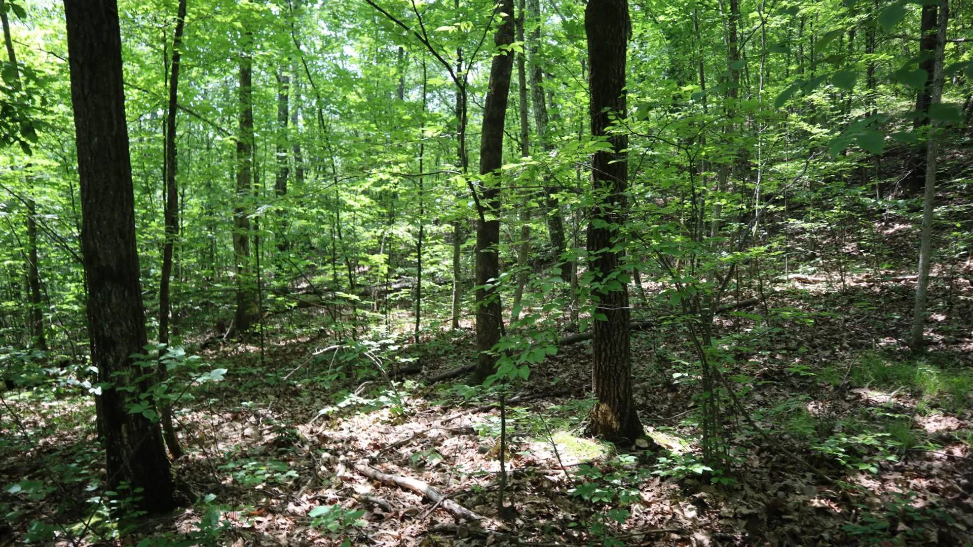 Property at 211 Bromley Ln, Granville, NY 12832 37