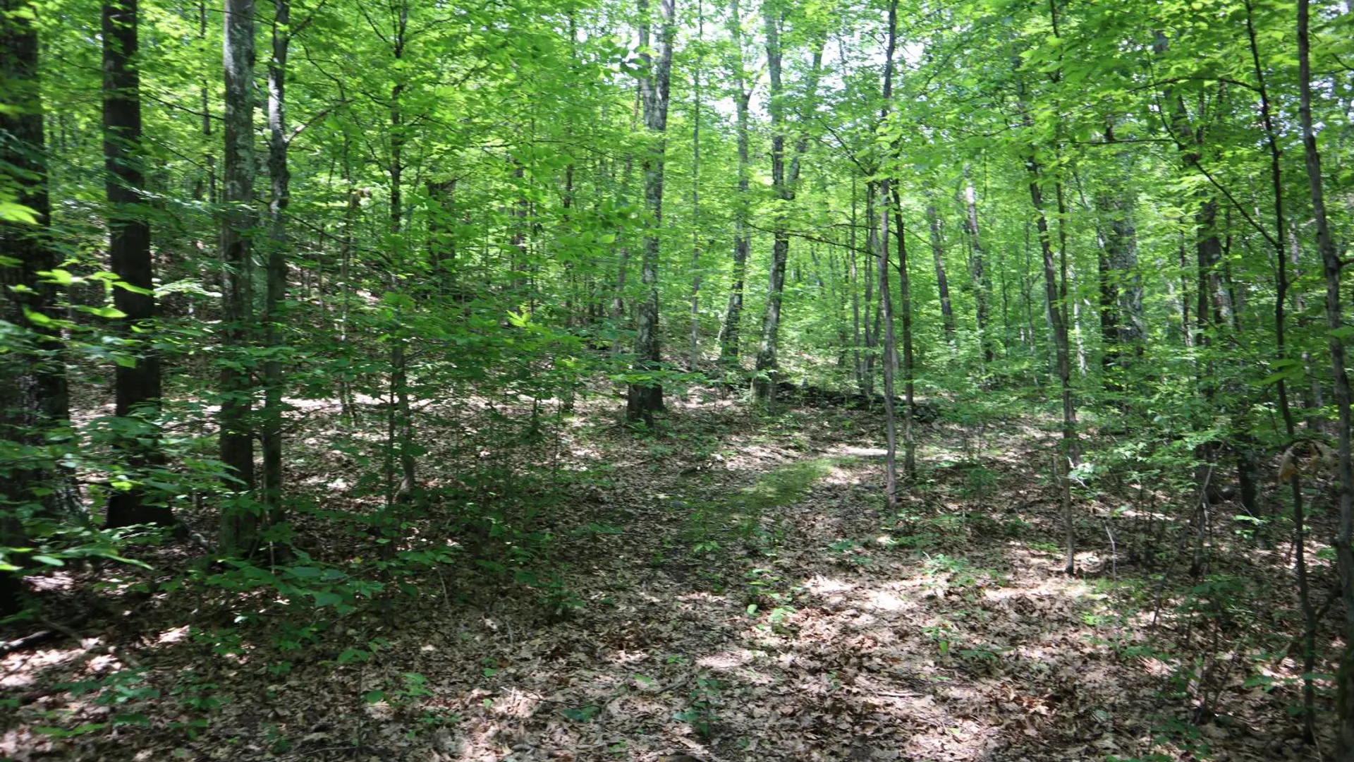 Property at 211 Bromley Ln, Granville, NY 12832 38