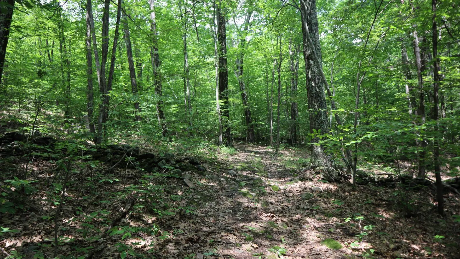 Property at 211 Bromley Ln, Granville, NY 12832 39