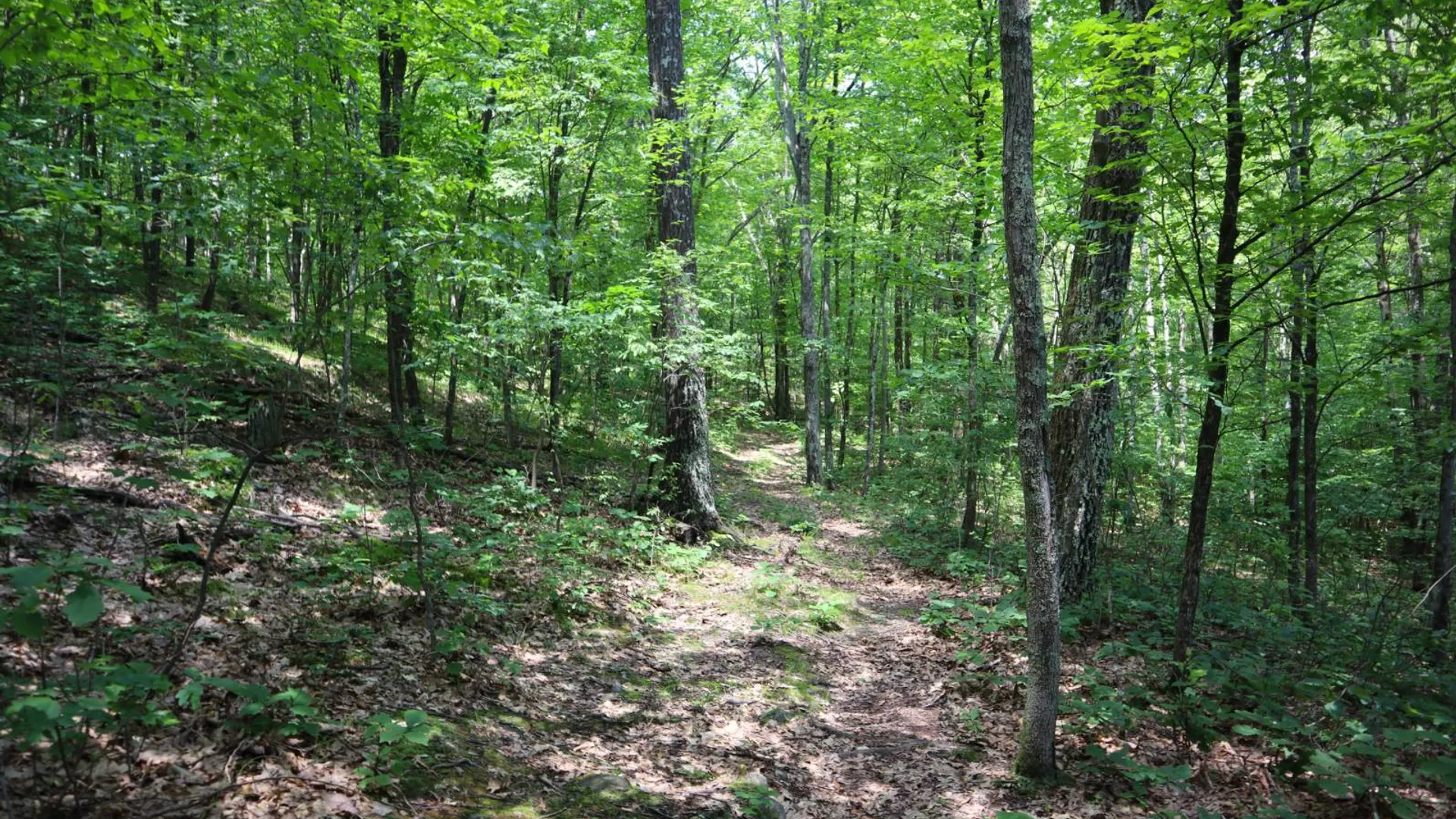 Property at 211 Bromley Ln, Granville, NY 12832 4