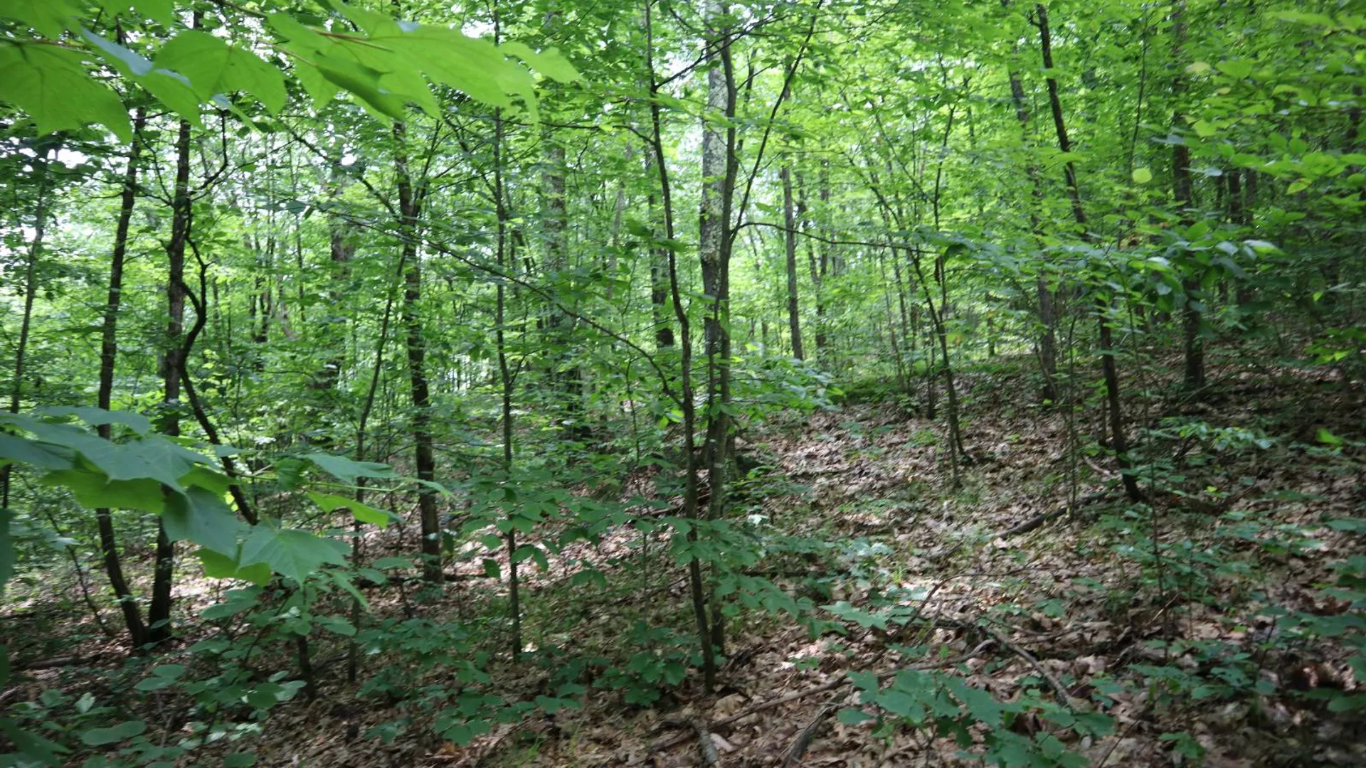 Property at 211 Bromley Ln, Granville, NY 12832 40