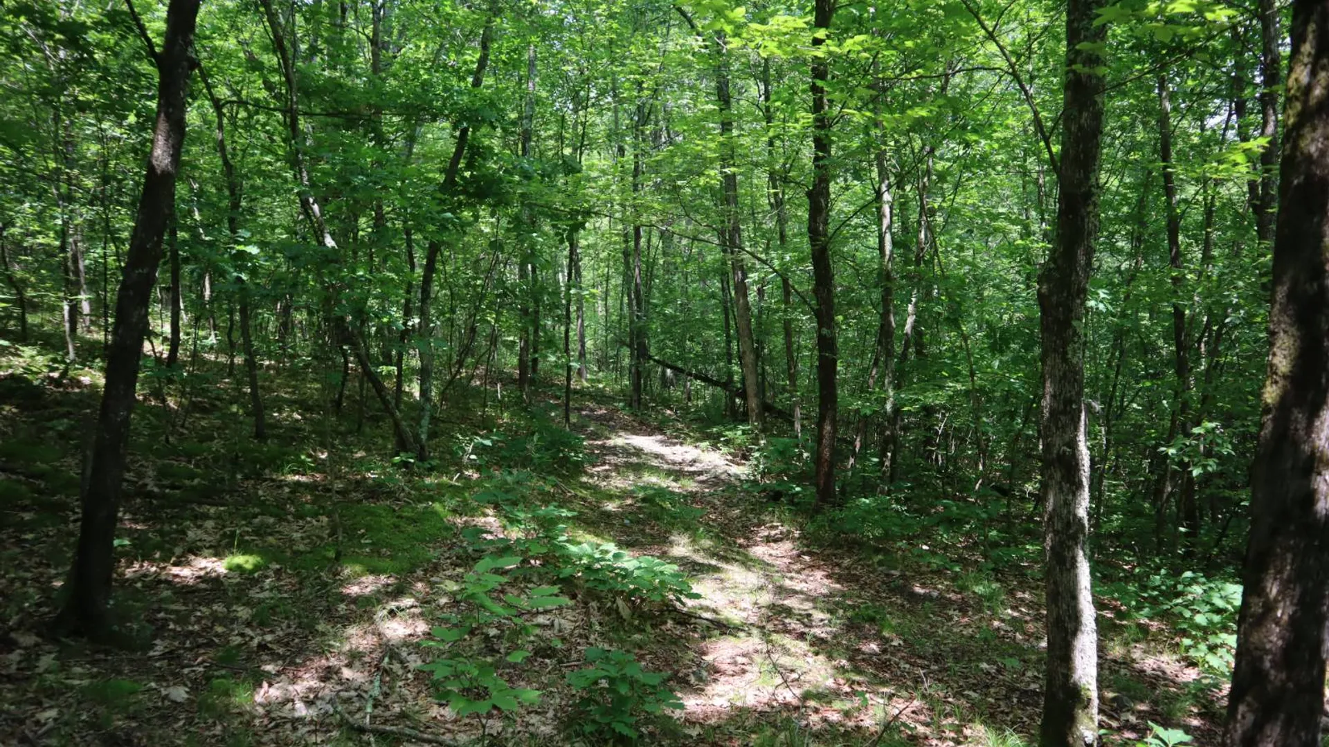 Property at 211 Bromley Ln, Granville, NY 12832 41