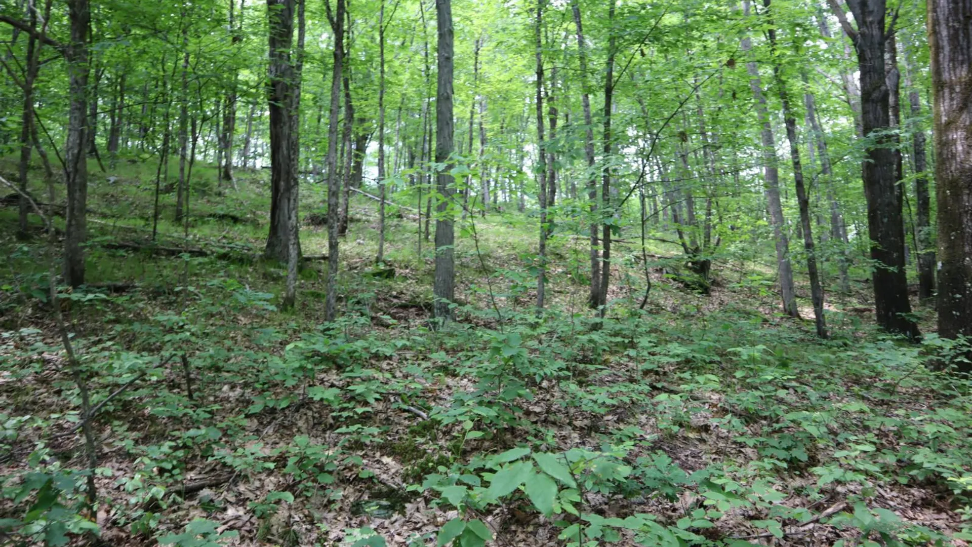 Property at 211 Bromley Ln, Granville, NY 12832 42