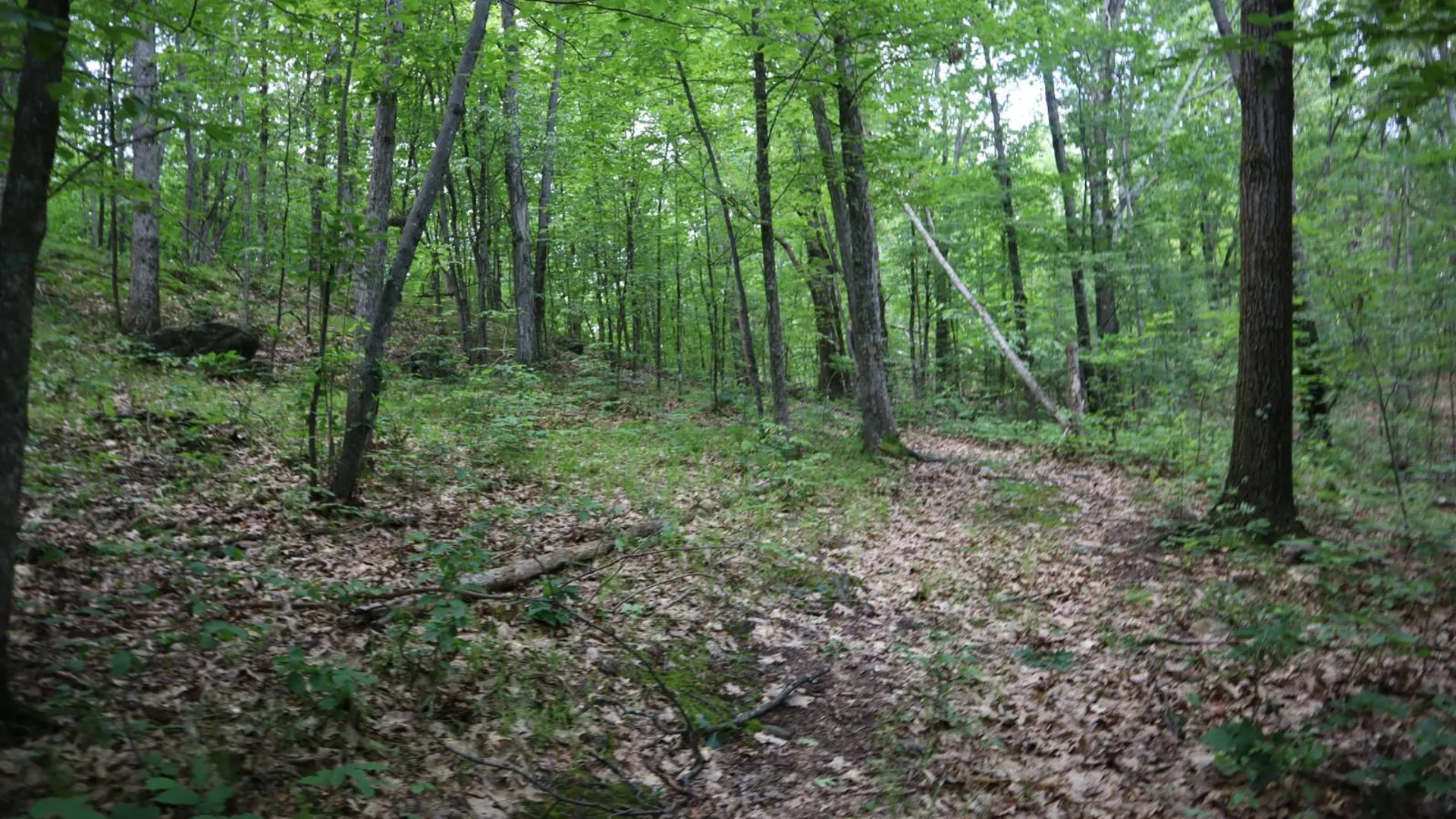 Property at 211 Bromley Ln, Granville, NY 12832 43