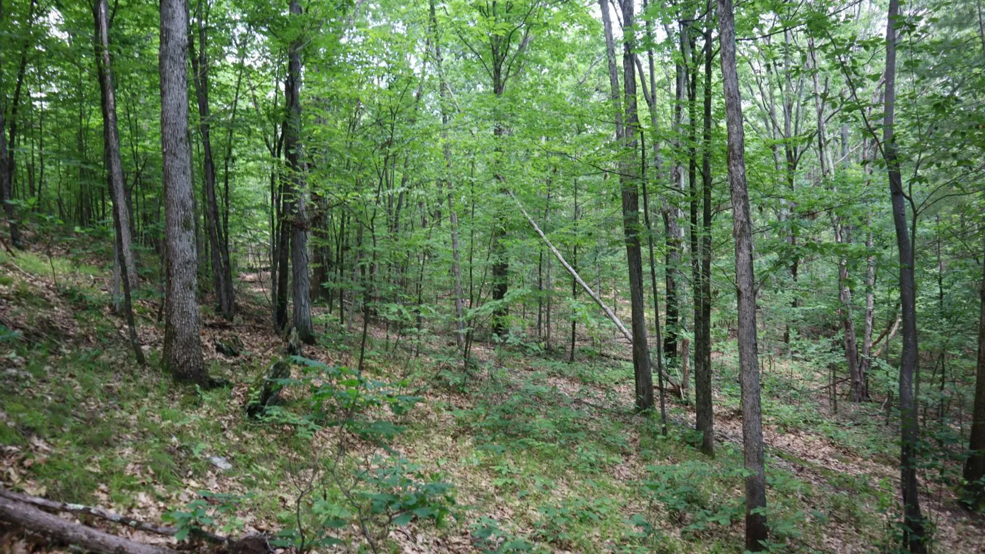 Property at 211 Bromley Ln, Granville, NY 12832 44