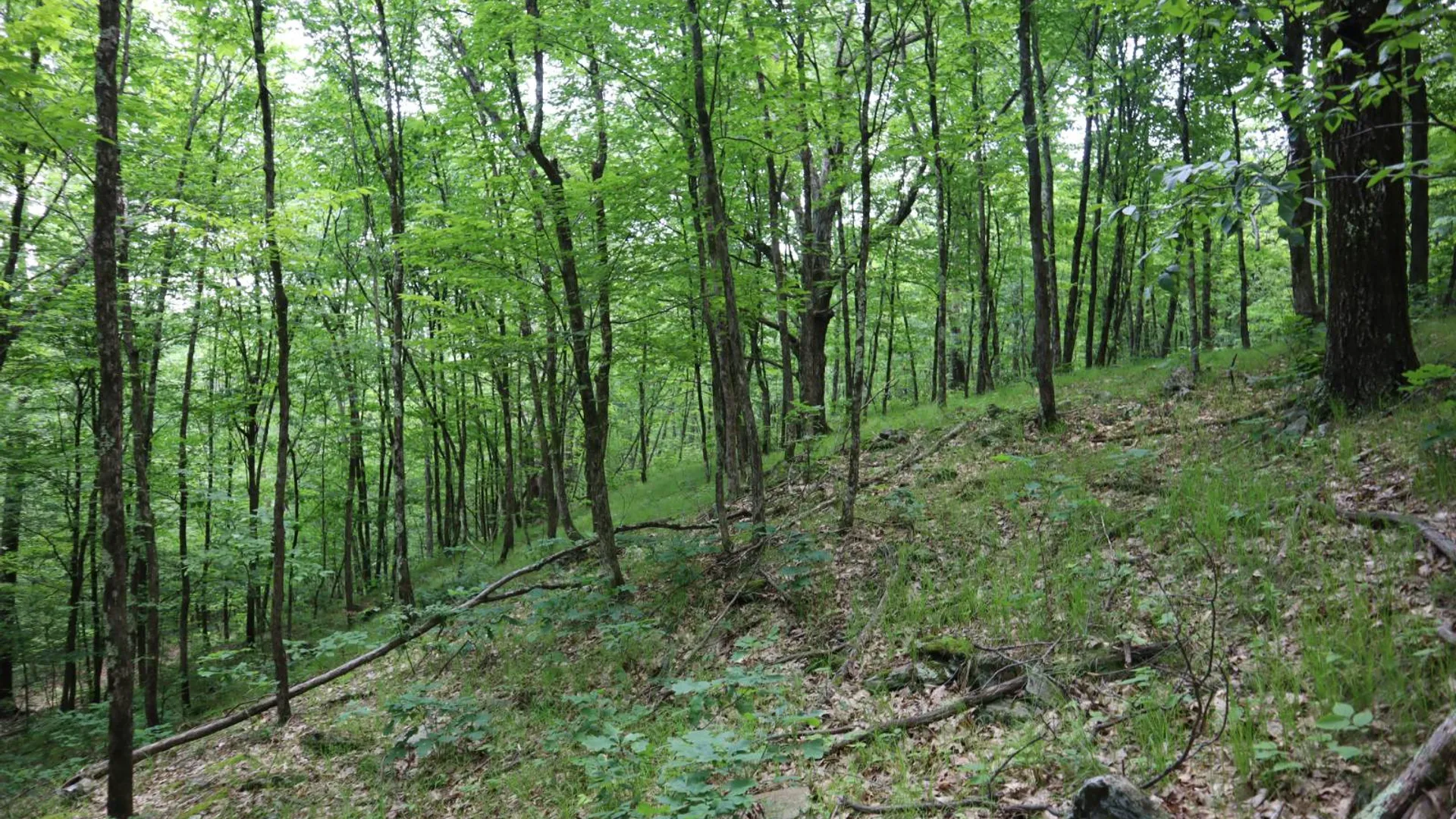 Property at 211 Bromley Ln, Granville, NY 12832 45